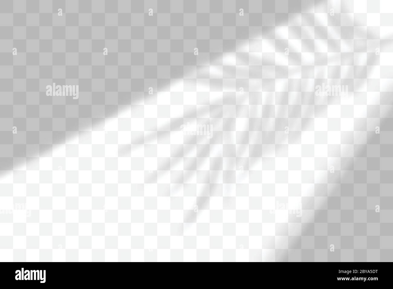 Vettore trasparente naturale pianta ombra. Sovrapposizione effetto luce. Griglia mesh. Presentazione la vostra scheda di disegno, poster, storie Foto illustrazione realistica Illustrazione Vettoriale