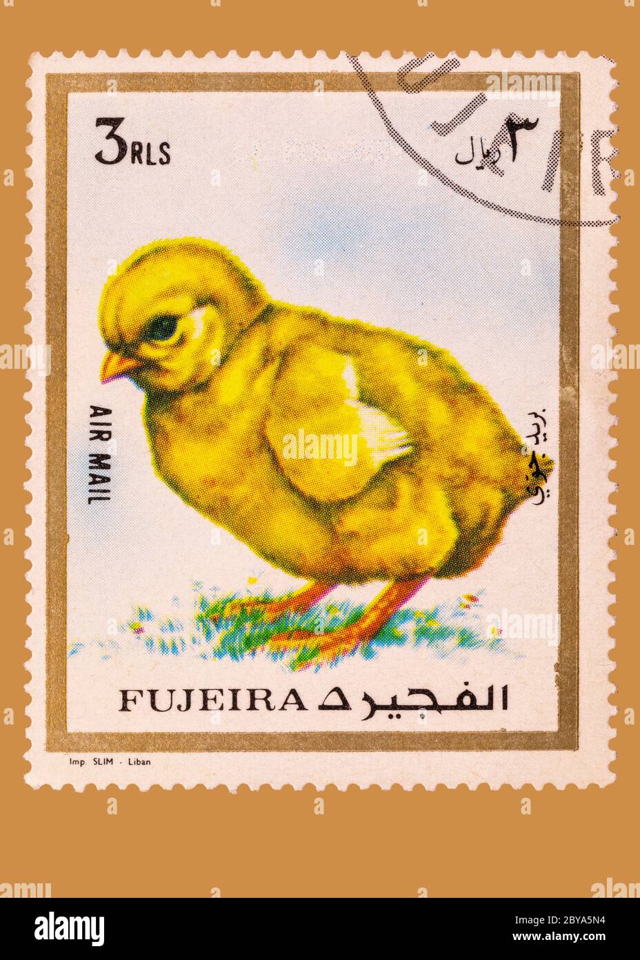 Vintage annullato francobollo da Fujeira con una foto di un arrabbiato cazzo. Circa 1970 dagli Emirati Arabi Uniti. Foto Stock