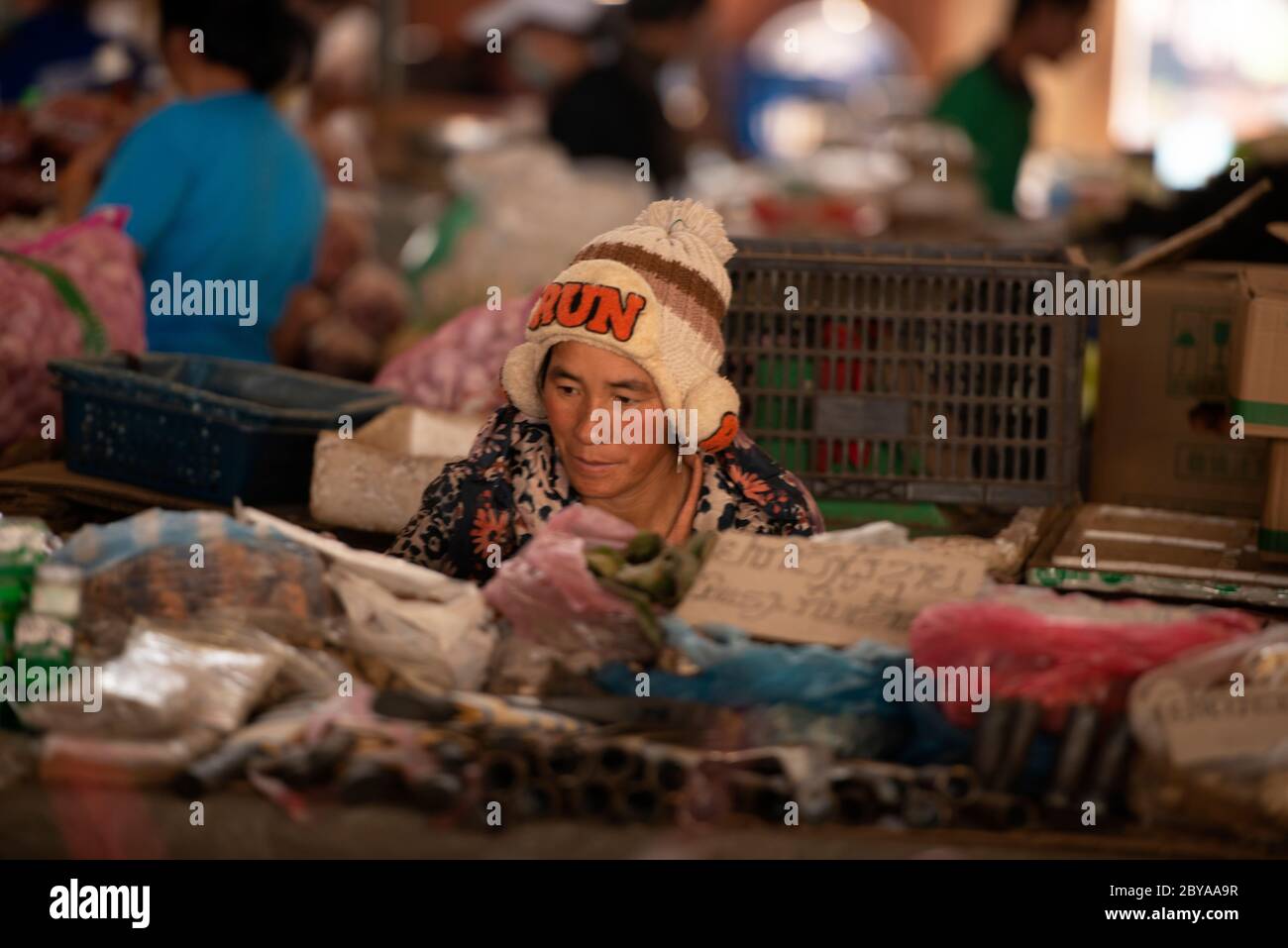 Una donna al mercato locale nella piccola città di Luang Nantha, Laos settentrionale. Foto Stock