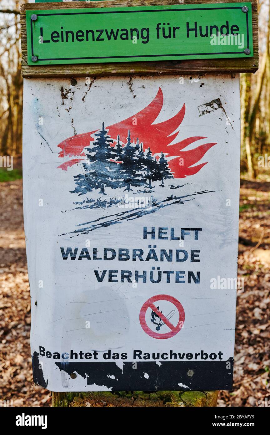 Cartello informativo su una foresta in Germania che indica il rischio di incendi boschivi e vieta gli incendi. Foto Stock