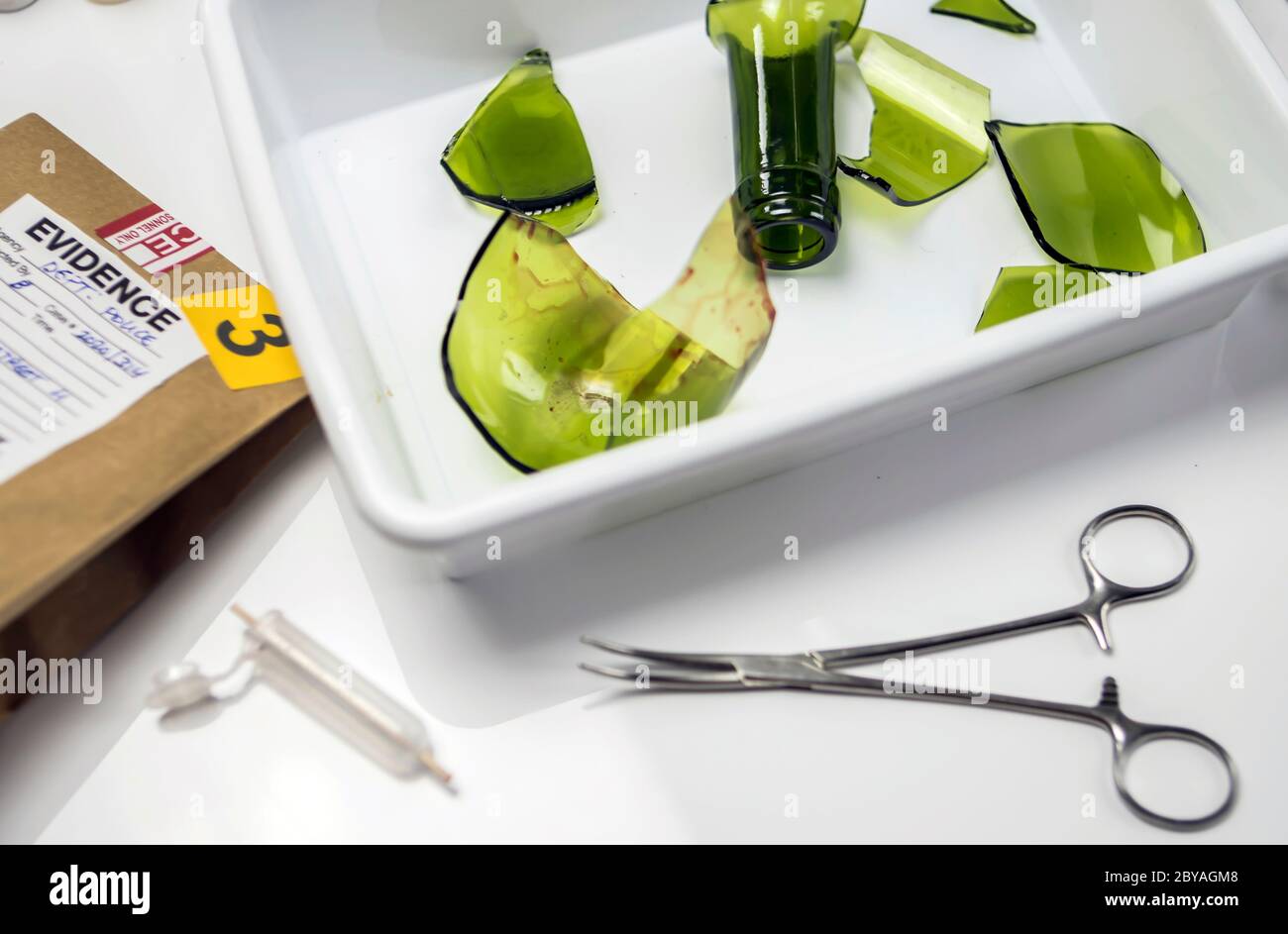 Campioni di una bottiglia di vetro rotta nel Criminalistic Lab, immagine concettuale Foto Stock