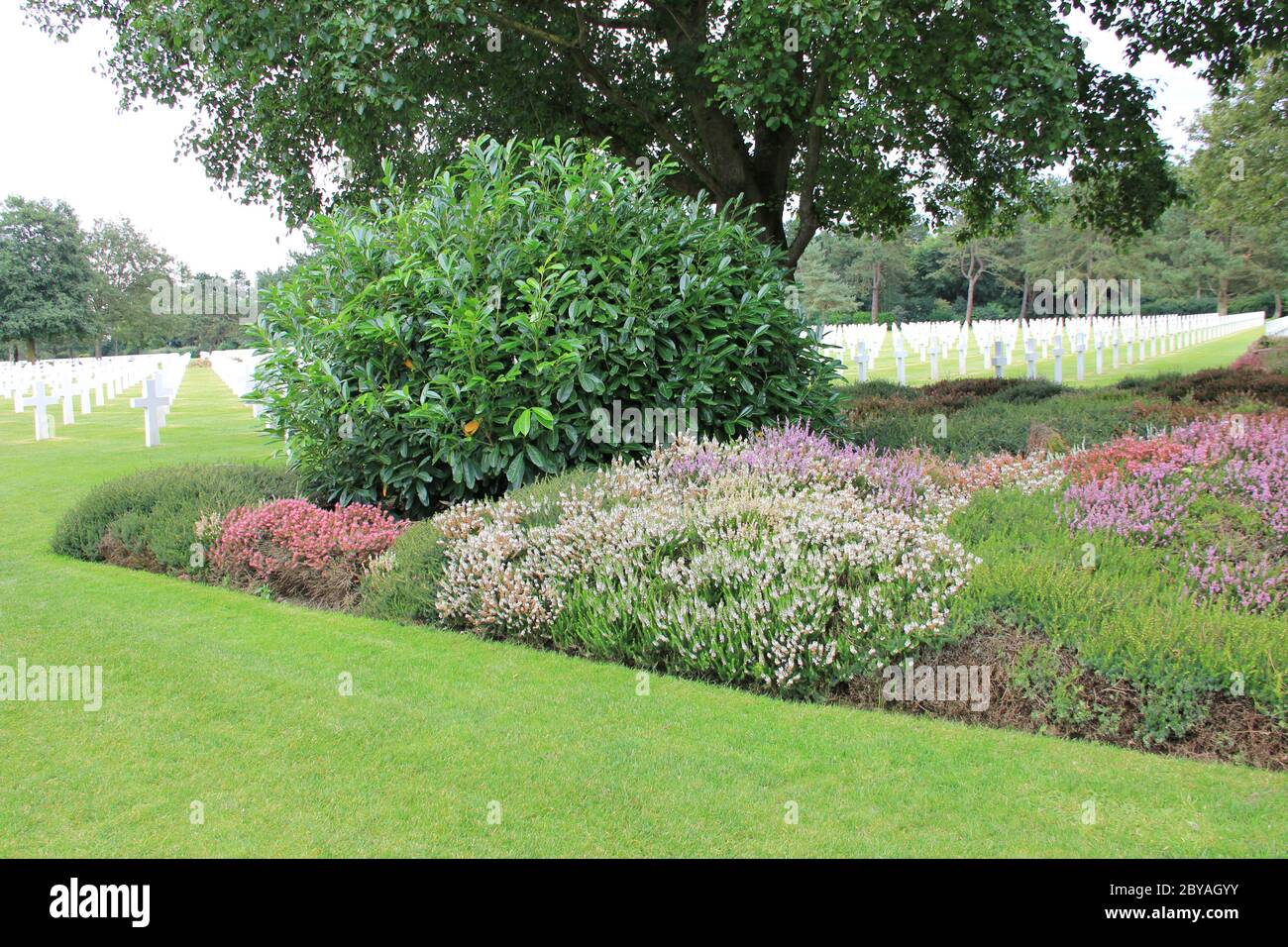 Il cimitero e memoriale americano in Normandia in Francia Foto Stock