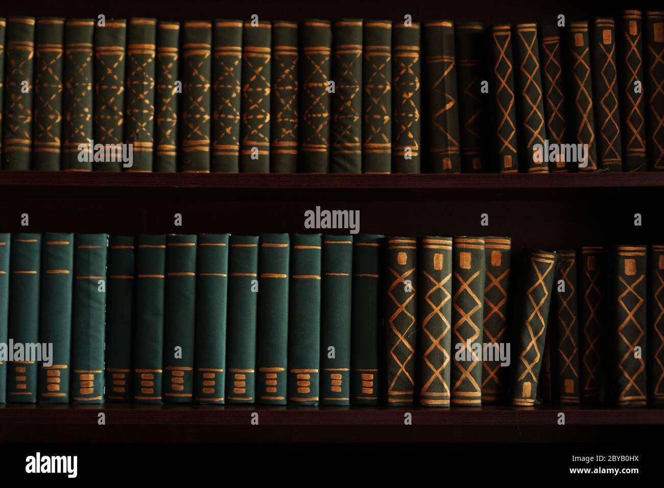 Libri antichi su uno scaffale di archivio della biblioteca di magazzino. Due file di libri Foto Stock