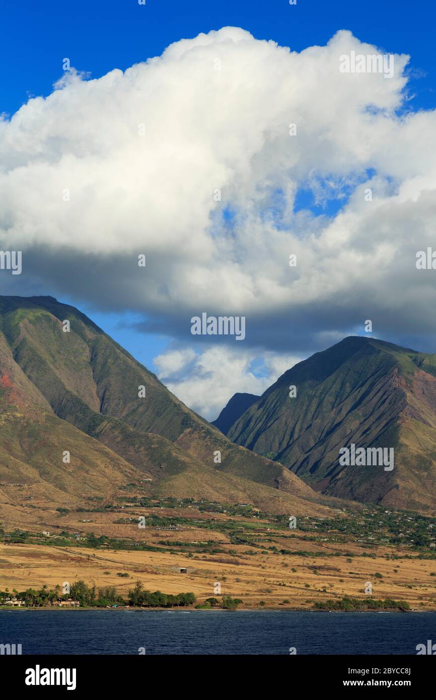 Ioa Valley State Park, Lahaina, Isola di Maui, Hawaii, STATI UNITI D'AMERICA Foto Stock