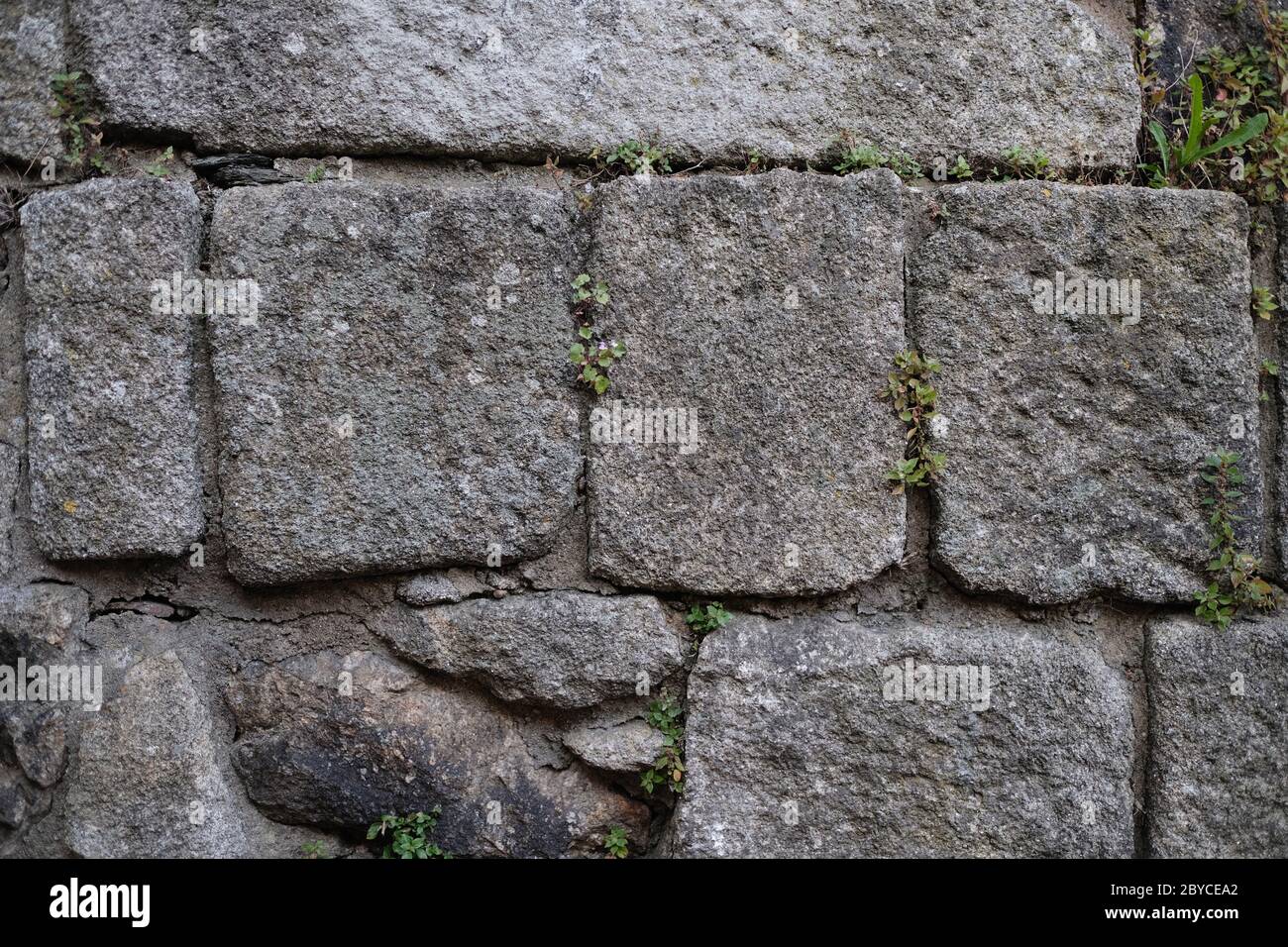 La struttura di un antico muro di pietra con vegetazione in crescita. Foto Stock