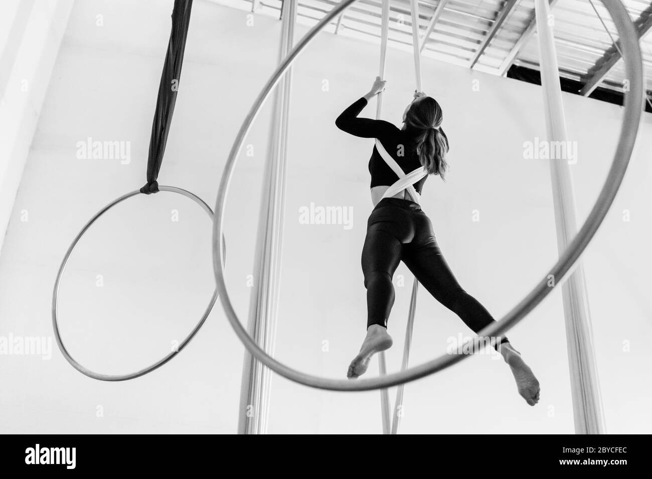 Un ballerino aereo colombiano sale sulle sete aeree durante una sessione di allenamento in una palestra a Medellín, Colombia. Foto Stock