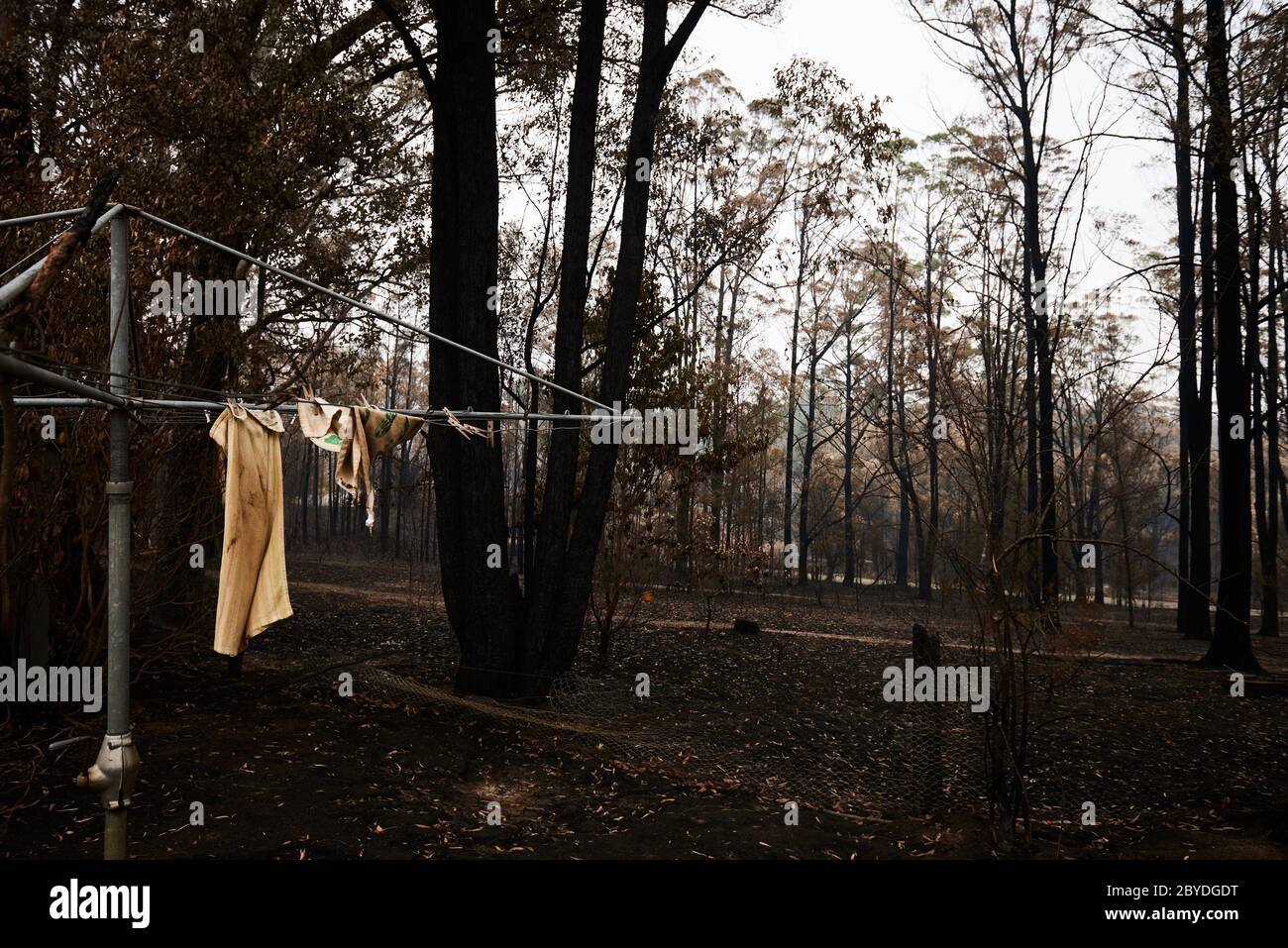 I resti di una proprietà distrutta dagli incendi boschivi a Sarsfield, Victoria Australia martedì 7 gennaio 2020. Foto Stock