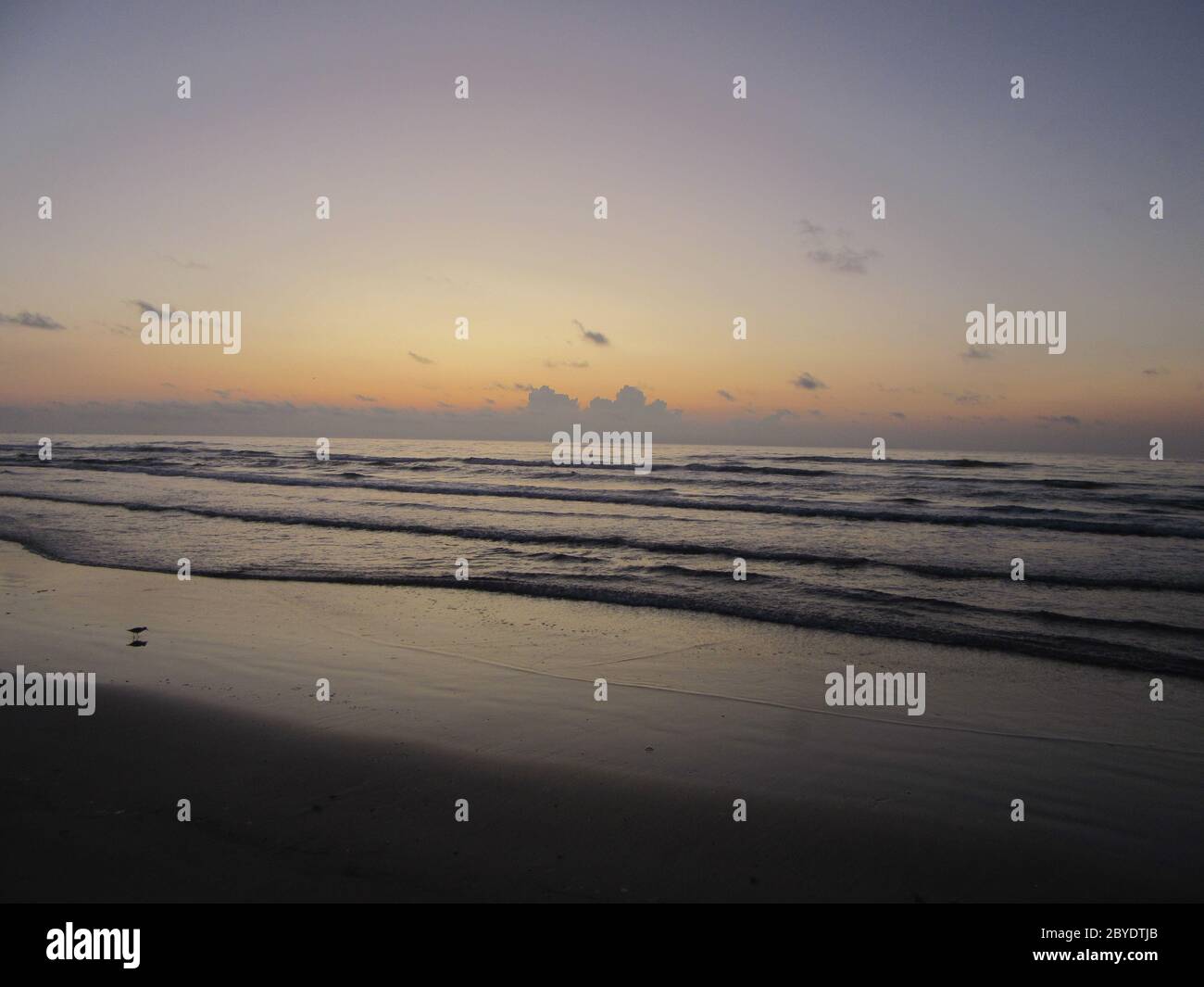 Alba e bassa marea su Padre Island in Texas, Golfo del Messico, Packery Channel Jetty, Corpus Christi, concetto per la vita da spiaggia, viaggi, locali esotici Foto Stock