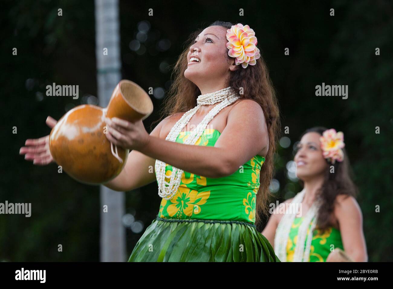 Ballerini hula tradizionali (modello rilasciato) in esecuzione con ipu (batteria) durante la canzone e canto a South Kona, Hawaii. Foto Stock