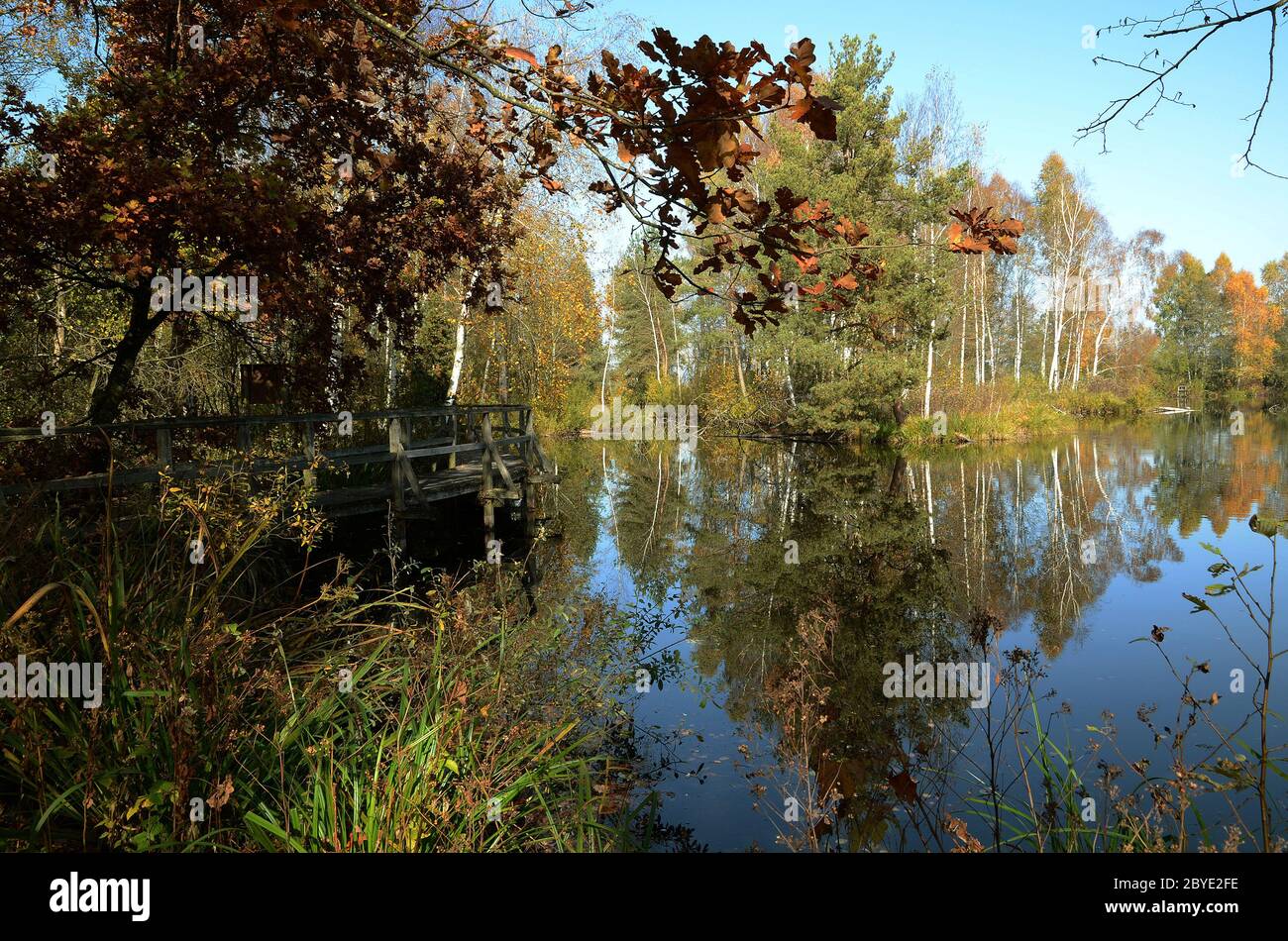 Moorland in Alta Svevia Foto Stock