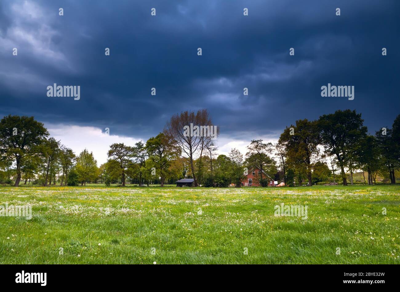 casa su prato fiorito durante la tempesta Foto Stock