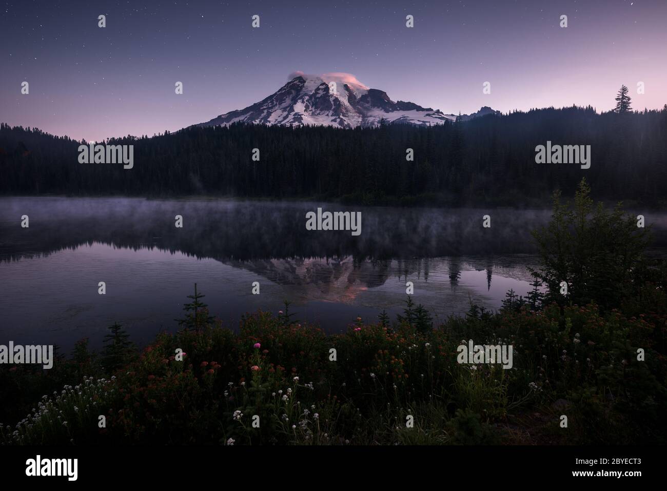 Fiori selvatici nel Mount Rainier National Park, Washington. Pennello magenta al lago di Reflection Foto Stock