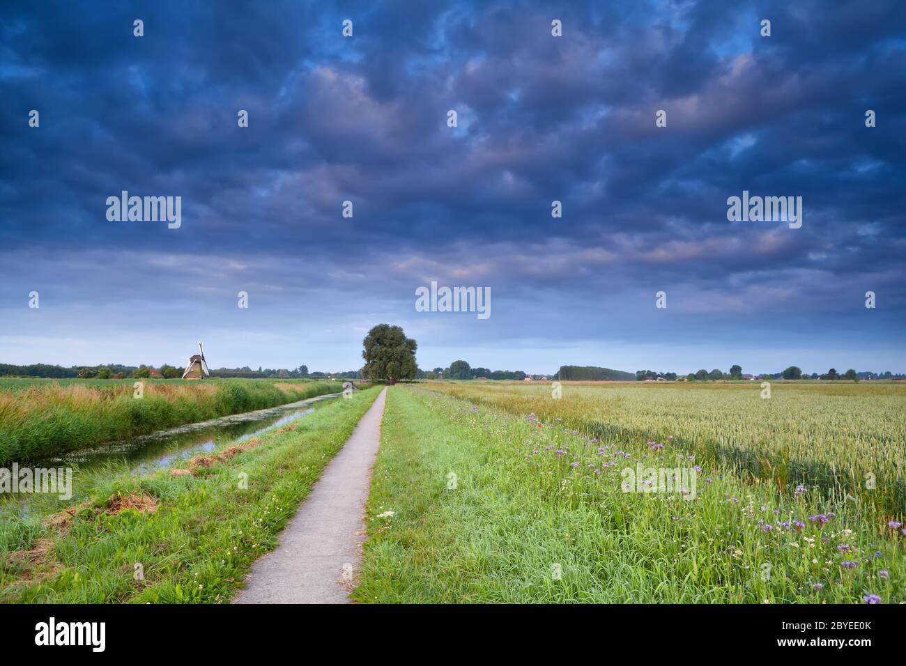 Strada per biciclette in terreni agricoli olandesi Foto Stock