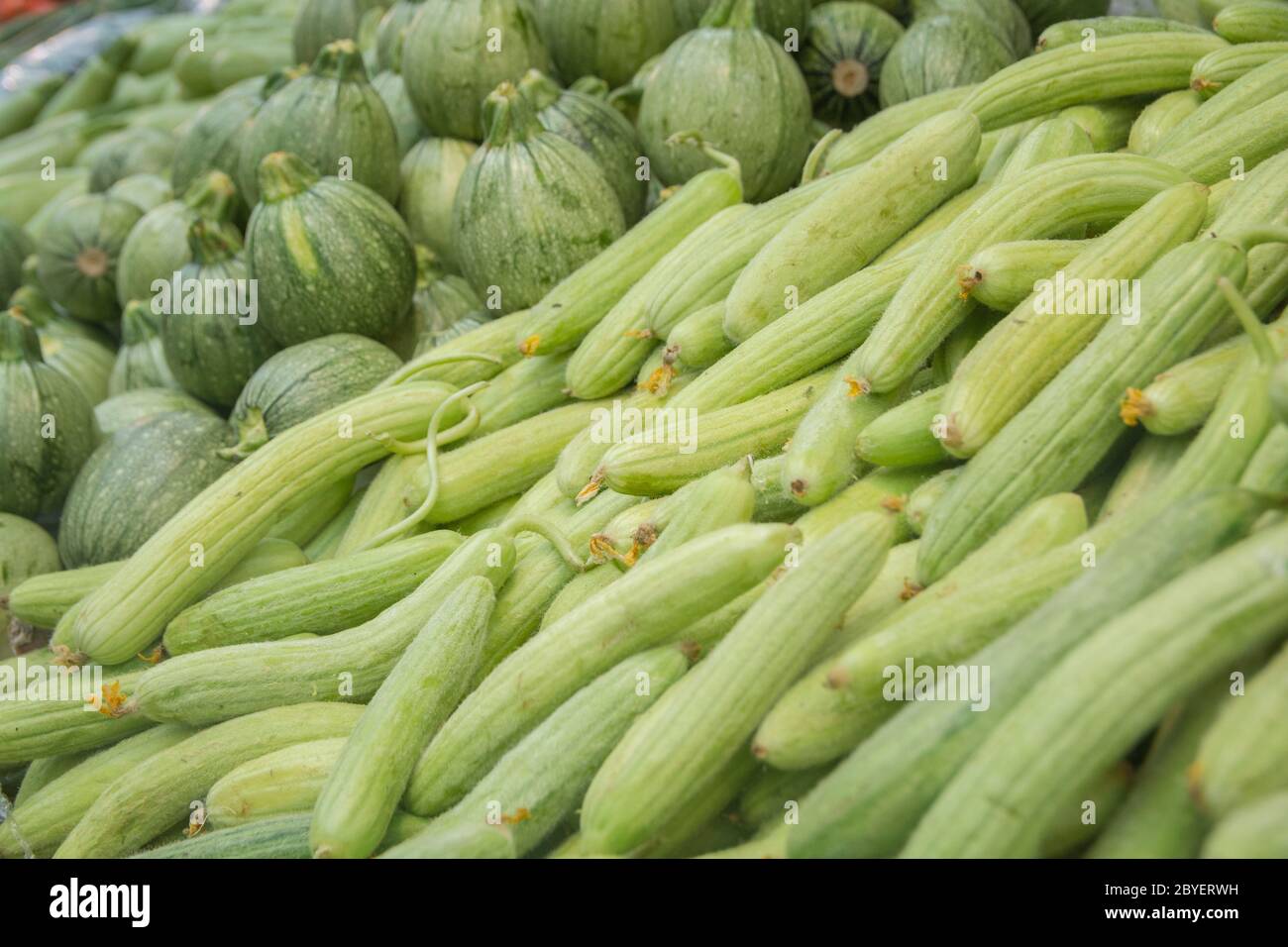 Un mucchio di cetriolo armeno fresco (Cucumis melo var. Flexuosus) per la vendita nel mercato Mahane Yehuda, Gerusalemme, Israele Foto Stock