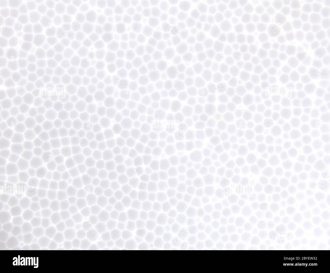 Pannello In Espanso Bianco Polistirolo 50x70cm - Spessore 3mm Per Fai Da Te E Modellismo - Foto 7