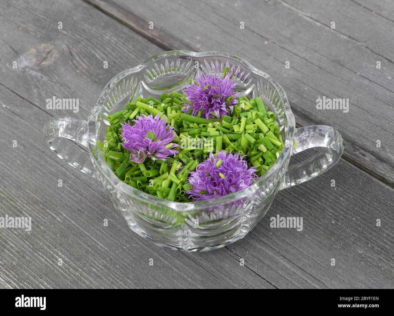 Erba cipollina, Allium schoenoprasum Foto Stock