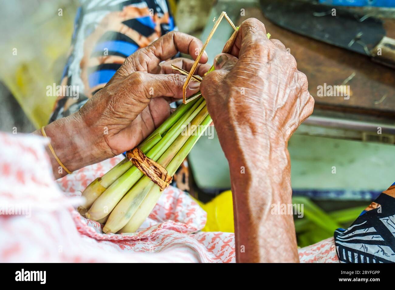 Mani di donna aborigena in Malesia legando un mazzo di gambi di citronella con filo di banana pseudo-stelo fibra as parte dell'imballaggio ecologico Foto Stock