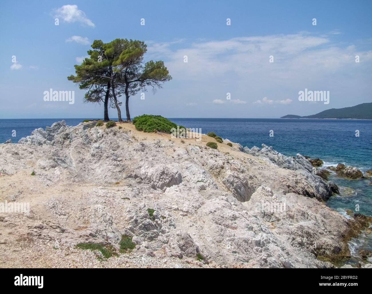 Alberi sulle rocce di Amarantos sull'isola di Skopelos alle Sporadi in Grecia Foto Stock