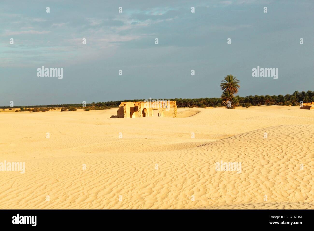 Deserto del Sahara in Tunisia Foto Stock