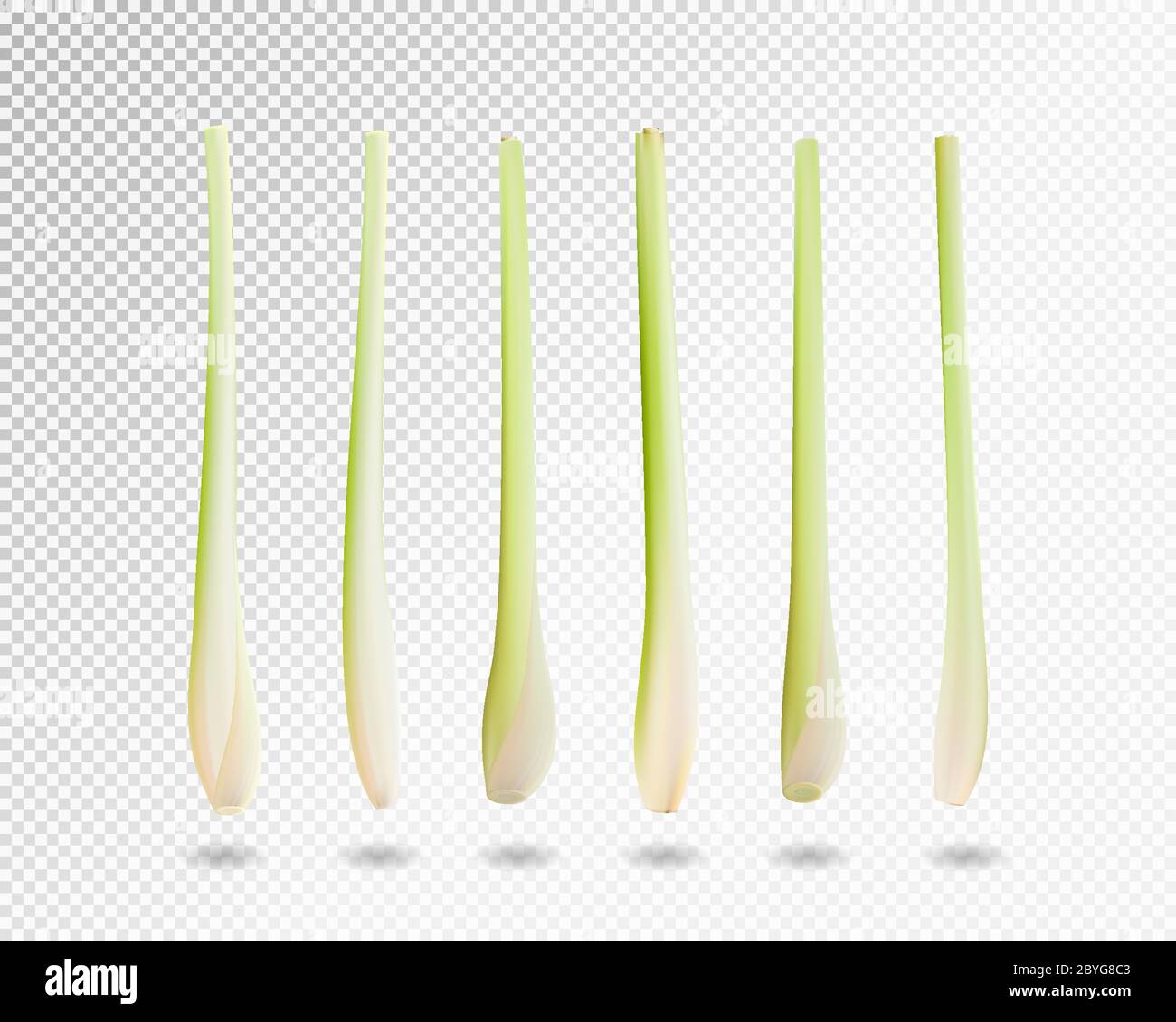 Set di verdure alle erbe di limongrass. Vettore realistico, illustrazione 3d Illustrazione Vettoriale Set di verdure alle erbe di limongrass. Vettore realistico, illustrazione 3d Illustrazione Vettoriale
