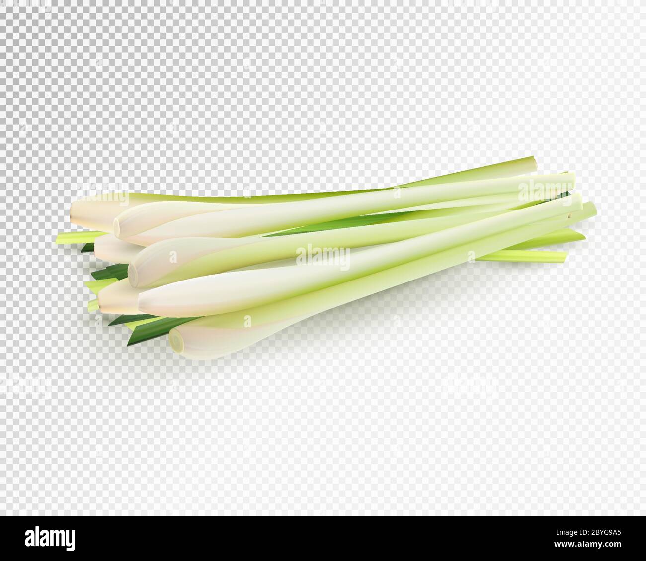 Set di verdure alle erbe di limongrass. Vettore realistico su sfondo trasparente, illustrazione 3d Illustrazione Vettoriale Set di verdure alle erbe di limongrass. Vettore realistico su sfondo trasparente, illustrazione 3d Illustrazione Vettoriale