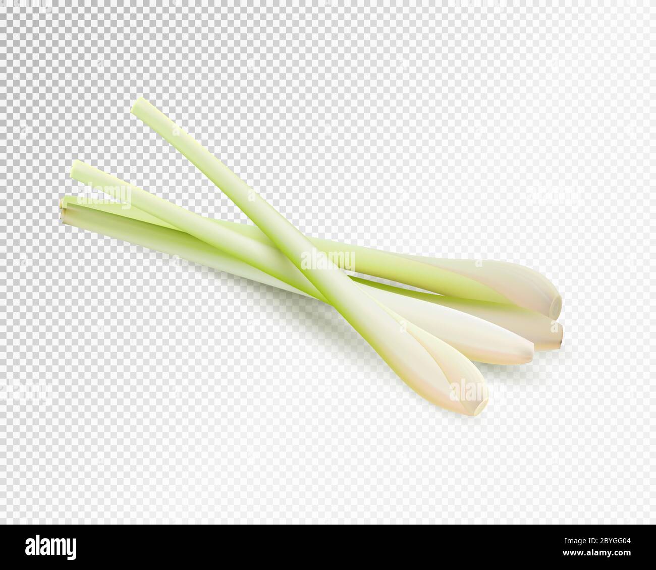 Set di verdure alle erbe di limongrass. Vettore realistico su sfondo trasparente, illustrazione 3d Illustrazione Vettoriale Set di verdure alle erbe di limongrass. Vettore realistico su sfondo trasparente, illustrazione 3d Illustrazione Vettoriale