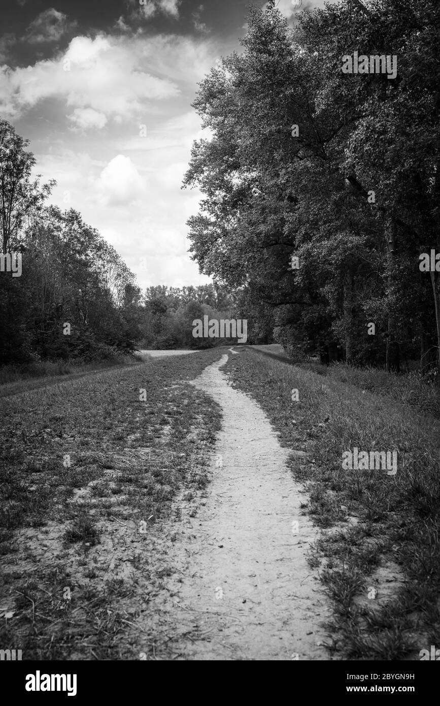 Sentiero su un argine fluviale tra boschi e campi ripariali. Fotografato in bianco e nero. Foto Stock