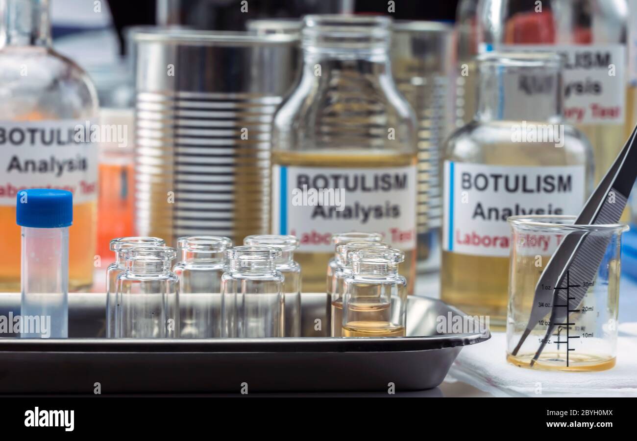 Campioni contaminati dalla tossina botulinica Clostridium che causa botulismo nell'uomo, ricerca di laboratorio, immagine concettuale Foto Stock