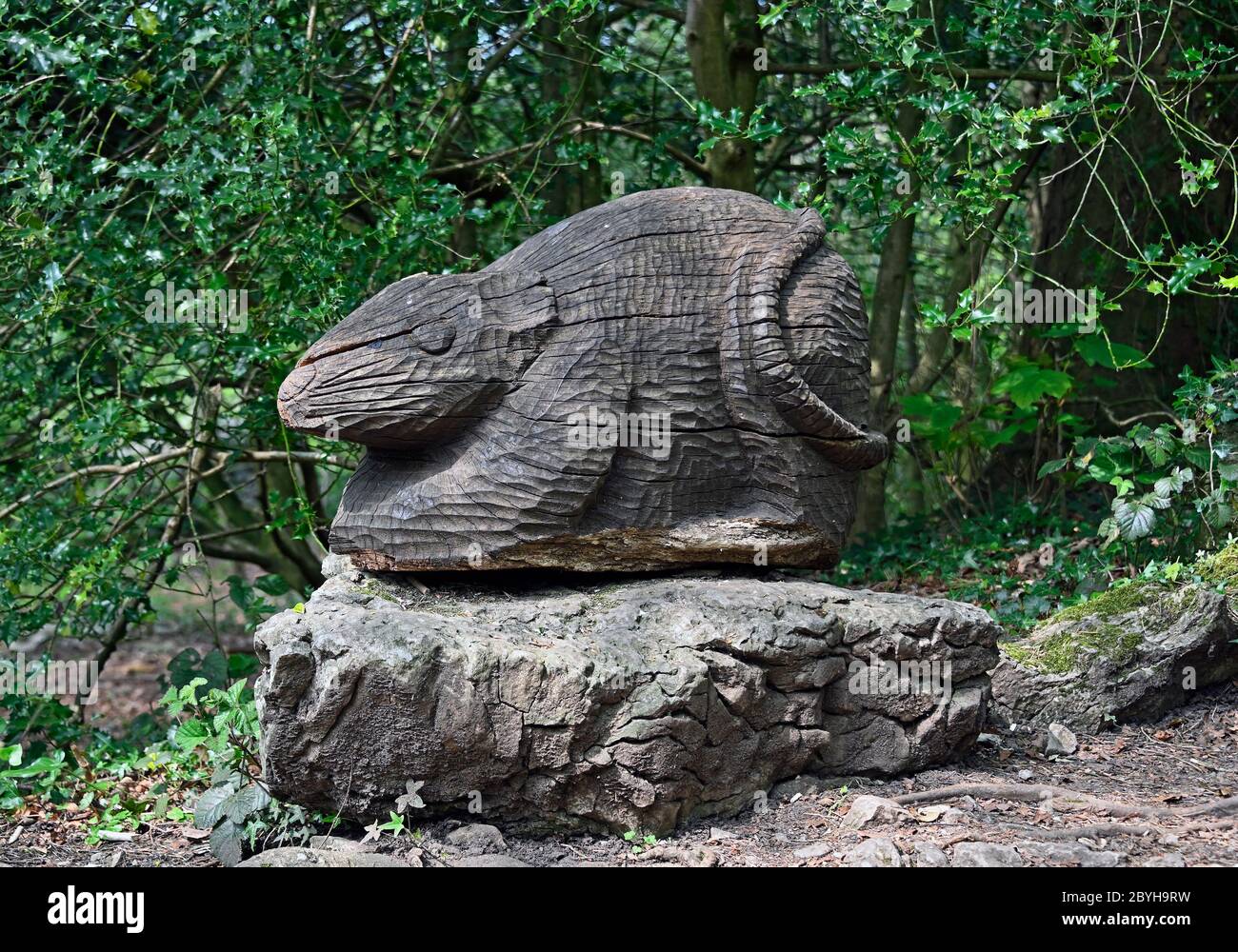 R è per il ratto. Alfabeto del Sentiero delle sculture, boschi a serpentina, Fellside, Kendal Cumbria, England, Regno Unito, Europa. Foto Stock