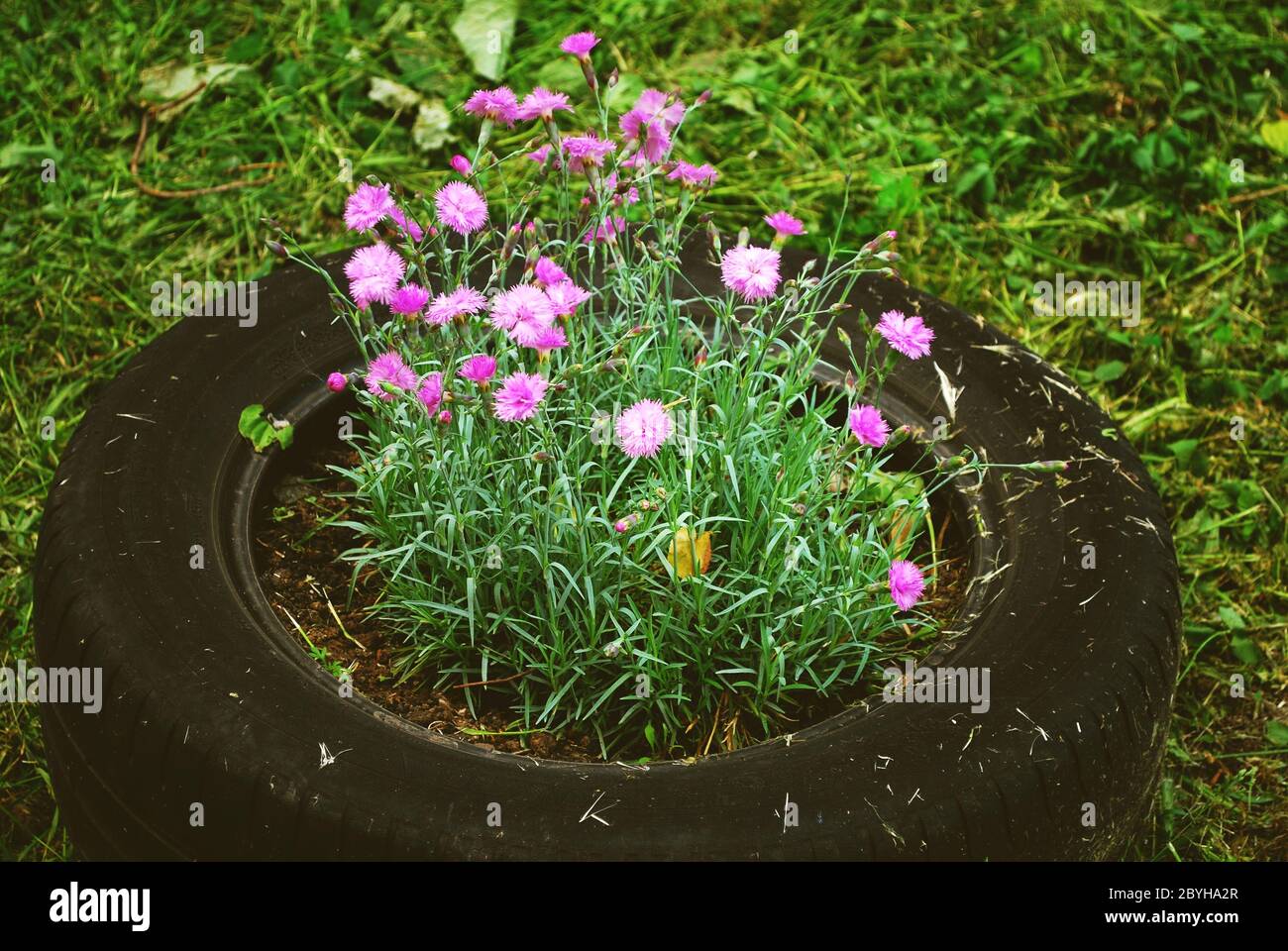 Piccolo aiuola con fiori in un pneumatico dalla ruota Foto Stock