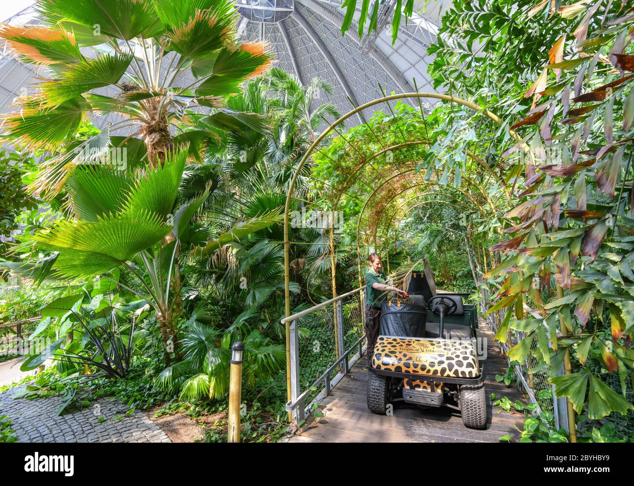 10 giugno 2020, Brandeburgo, Krausnick: Un giardiniere lavora al parco a tema delle isole tropicali. Secondo le proprie dichiarazioni, il più grande mondo di vacanze tropicali d'Europa riprenderà le attività degli ospiti dal 15.06.2020. Il parco divertimenti era stato chiuso per tre mesi a causa del coronavirus. Attualmente, nelle isole tropicali si stanno preparando i preparativi finali per la riapertura. Il concetto è dimezzare la capacità in modo che vi sia spazio sufficiente per ogni ospite per mantenere le normative sulla distanza. Fino a nuovo avviso, i biglietti giornalieri sono disponibili solo online. ATTENZIONE: Solo per uso editoriale in con Foto Stock