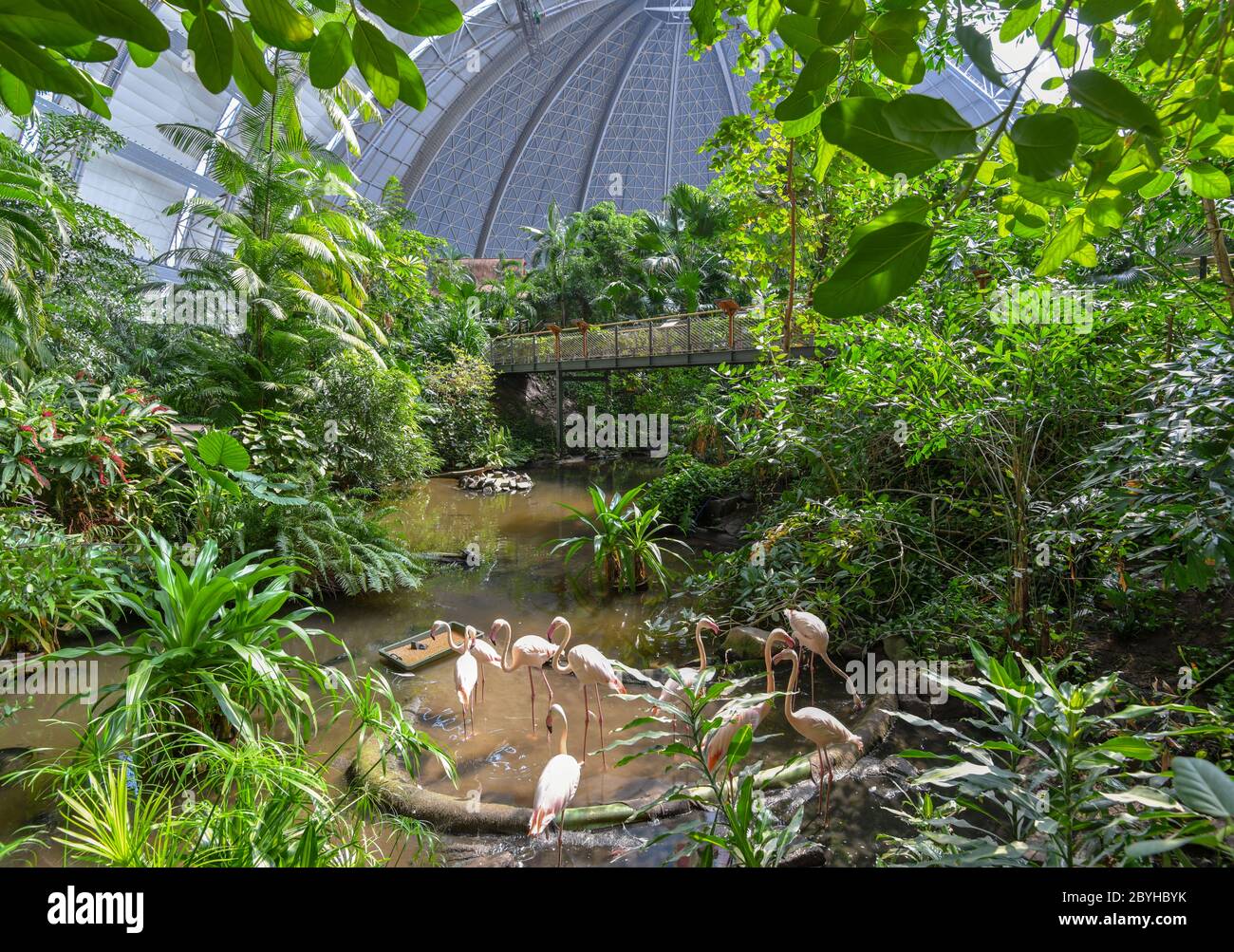 10 giugno 2020, Brandeburgo, Krausnick: Vista del parco a tema delle isole tropicali. Secondo le proprie dichiarazioni, il più grande mondo di vacanze tropicali d'Europa riprenderà le attività degli ospiti dal 15.06.2020. Il parco divertimenti era stato chiuso per tre mesi a causa del coronavirus. Attualmente, nelle isole tropicali si stanno preparando i preparativi finali per la riapertura. Il concetto è dimezzare la capacità in modo che vi sia spazio sufficiente per ogni ospite per mantenere le normative sulla distanza. Fino a nuovo avviso, i biglietti giornalieri sono disponibili solo online. ATTENZIONE: Solo per uso editoriale in relazione a. Foto Stock