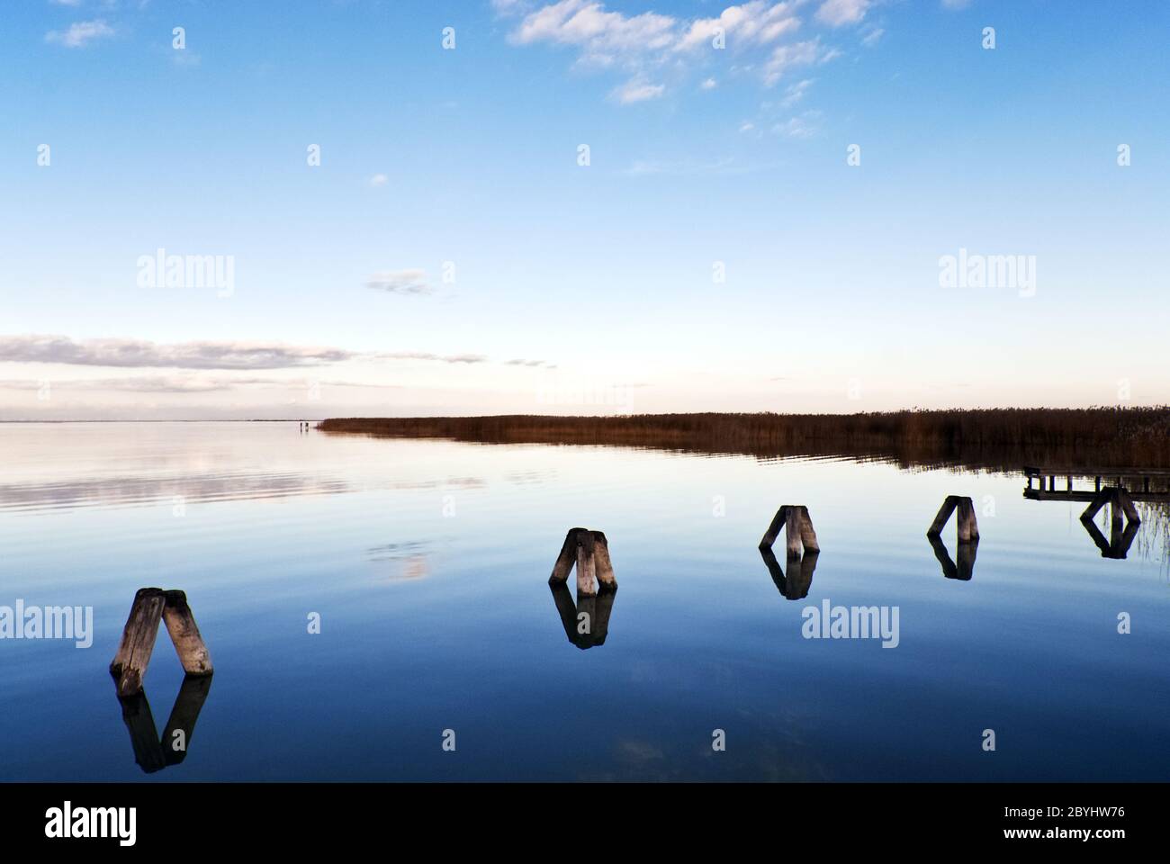 Scena tranquilla al Lago di Neusiedl Foto Stock