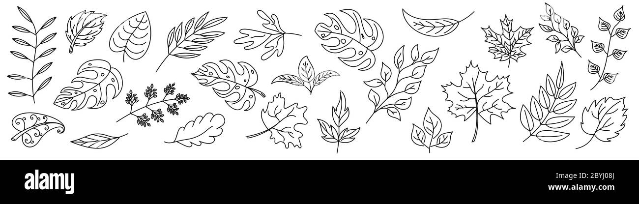 Set di Foglie in linea sottile. Icone lamine lineari. Foglie di contorno isolate. Illustrazione del vettore. Illustrazione Vettoriale