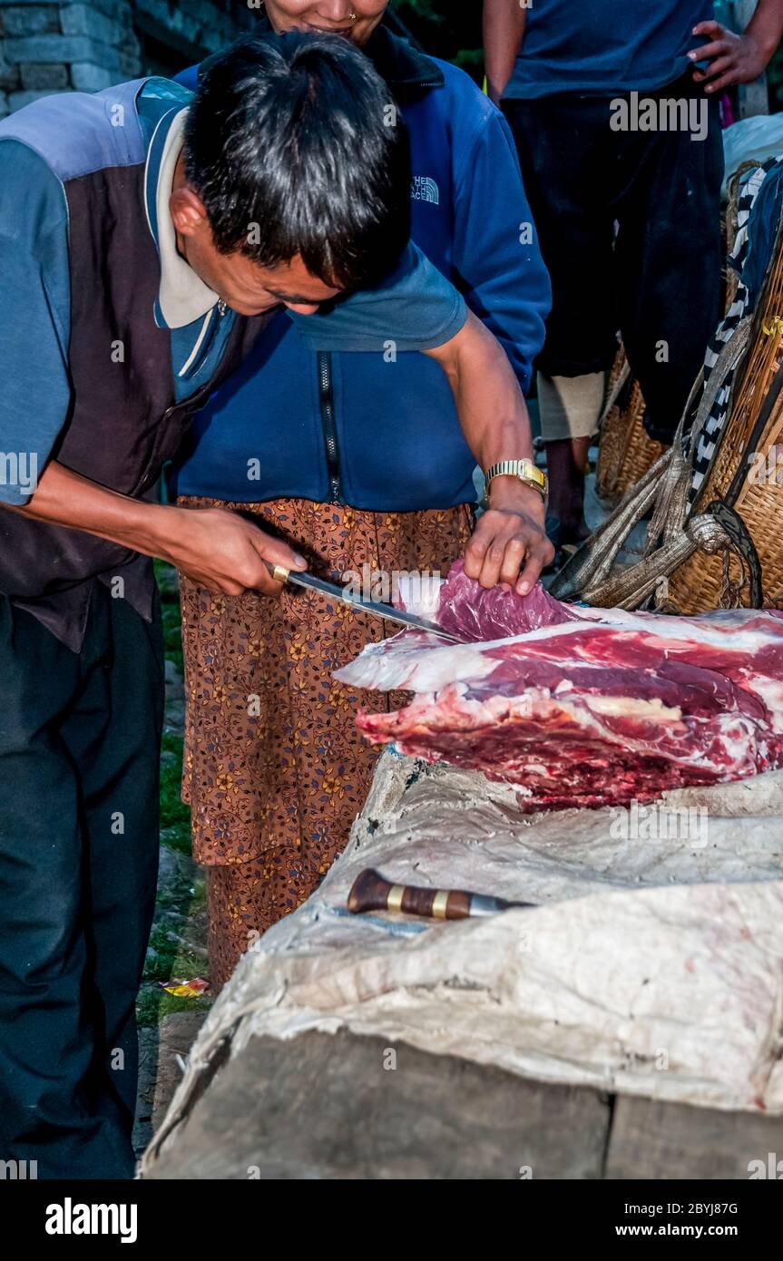 Nepal. Trekking di picco dell'isola. Un macellaio in visita dimostra le sue capacità di aspettare i clienti di Sherpa signora. La carne è un vero piacere per le famiglie in quella che è una dieta vegetariana di base. Il macellaio ha portato due lontre intere zampe di una mucca di Jak lungo il fegato animale dalla città di Lukla diverse ore a piedi di distanza visitando tutte le piccole comunità fino a quando non c'è nulla di più della carne. Anche le ossa saranno usate per fare zuppa-brodo poi successivamente messo in polvere per fornire fertilizzante Foto Stock