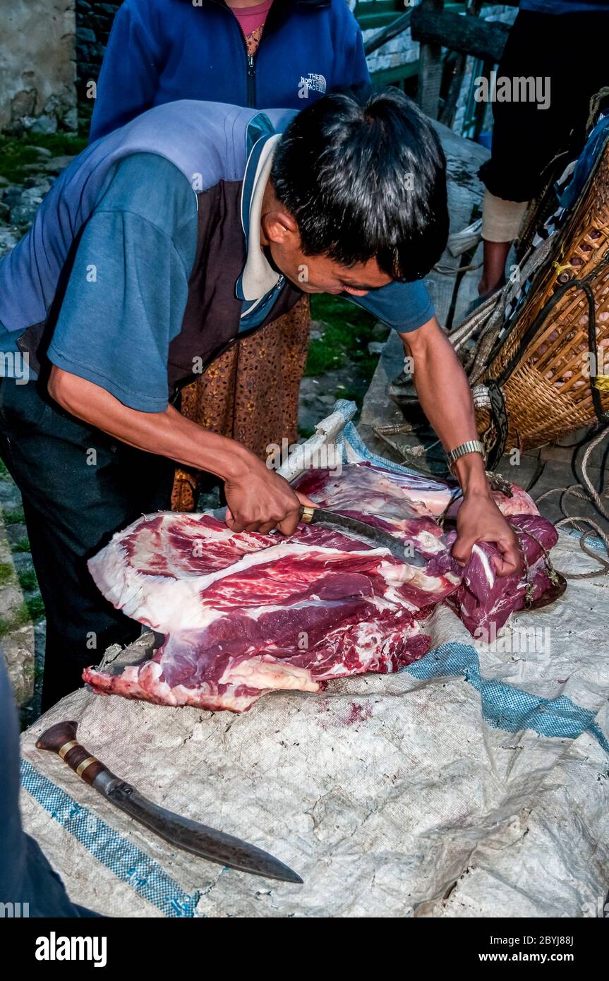 Nepal. Trekking di picco dell'isola. Un macellaio in visita dimostra le sue capacità di aspettare i clienti di Sherpa signora. La carne è un vero piacere per le famiglie in quella che è una dieta vegetariana di base. Il macellaio ha portato due lontre intere zampe di una mucca di Jak lungo il fegato animale dalla città di Lukla diverse ore a piedi di distanza visitando tutte le piccole comunità fino a quando non c'è nulla di più della carne. Anche le ossa saranno usate per fare zuppa-brodo poi successivamente messo in polvere per fornire fertilizzante Foto Stock