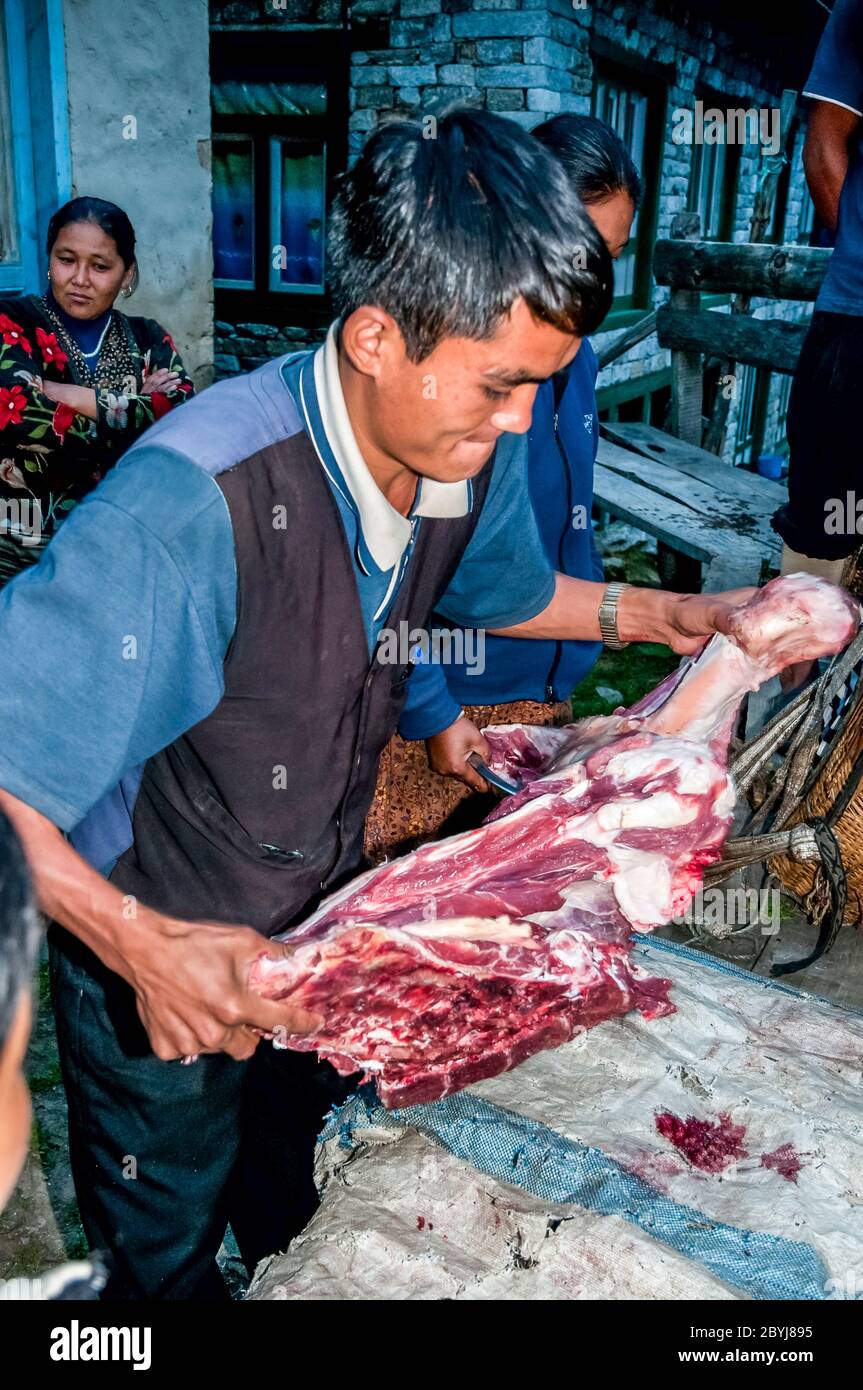 Nepal. Trekking di picco dell'isola. Un macellaio in visita dimostra le sue capacità di aspettare i clienti di Sherpa signora. La carne è un vero piacere per le famiglie in quella che è una dieta vegetariana di base. Il macellaio ha portato due lontre intere zampe di una mucca di Jak lungo il fegato animale dalla città di Lukla diverse ore a piedi di distanza visitando tutte le piccole comunità fino a quando non c'è nulla di più della carne. Anche le ossa saranno usate per fare zuppa-brodo poi successivamente messo in polvere per fornire fertilizzante Foto Stock