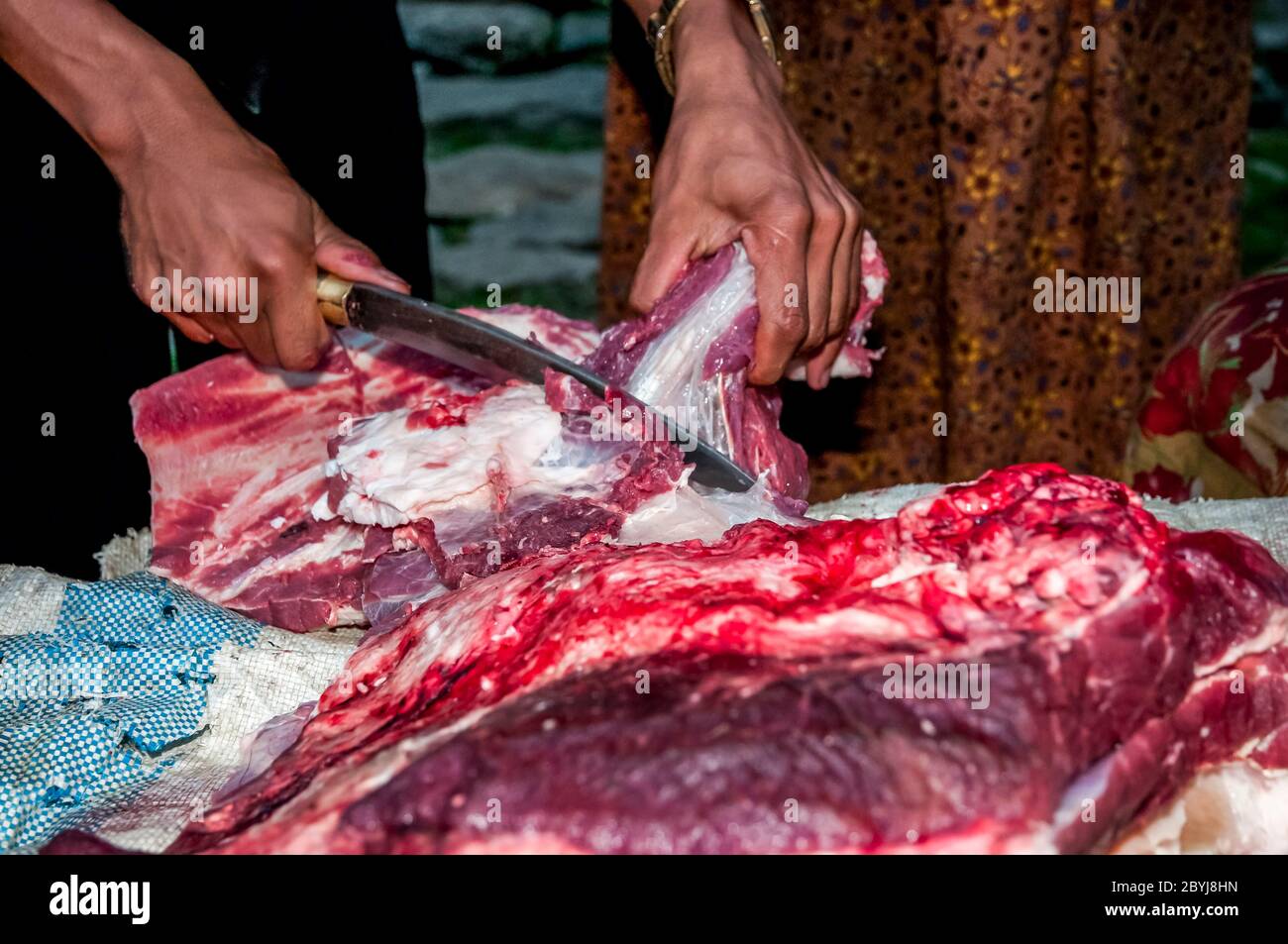 Nepal. Trekking di picco dell'isola. Un macellaio in visita dimostra le sue capacità di aspettare i clienti di Sherpa signora. La carne è un vero piacere per le famiglie in quella che è una dieta vegetariana di base. Il macellaio ha portato due lontre intere zampe di una mucca di Jak lungo il fegato animale dalla città di Lukla diverse ore a piedi di distanza visitando tutte le piccole comunità fino a quando non c'è nulla di più della carne. Anche le ossa saranno usate per fare zuppa-brodo poi successivamente messo in polvere per fornire fertilizzante Foto Stock