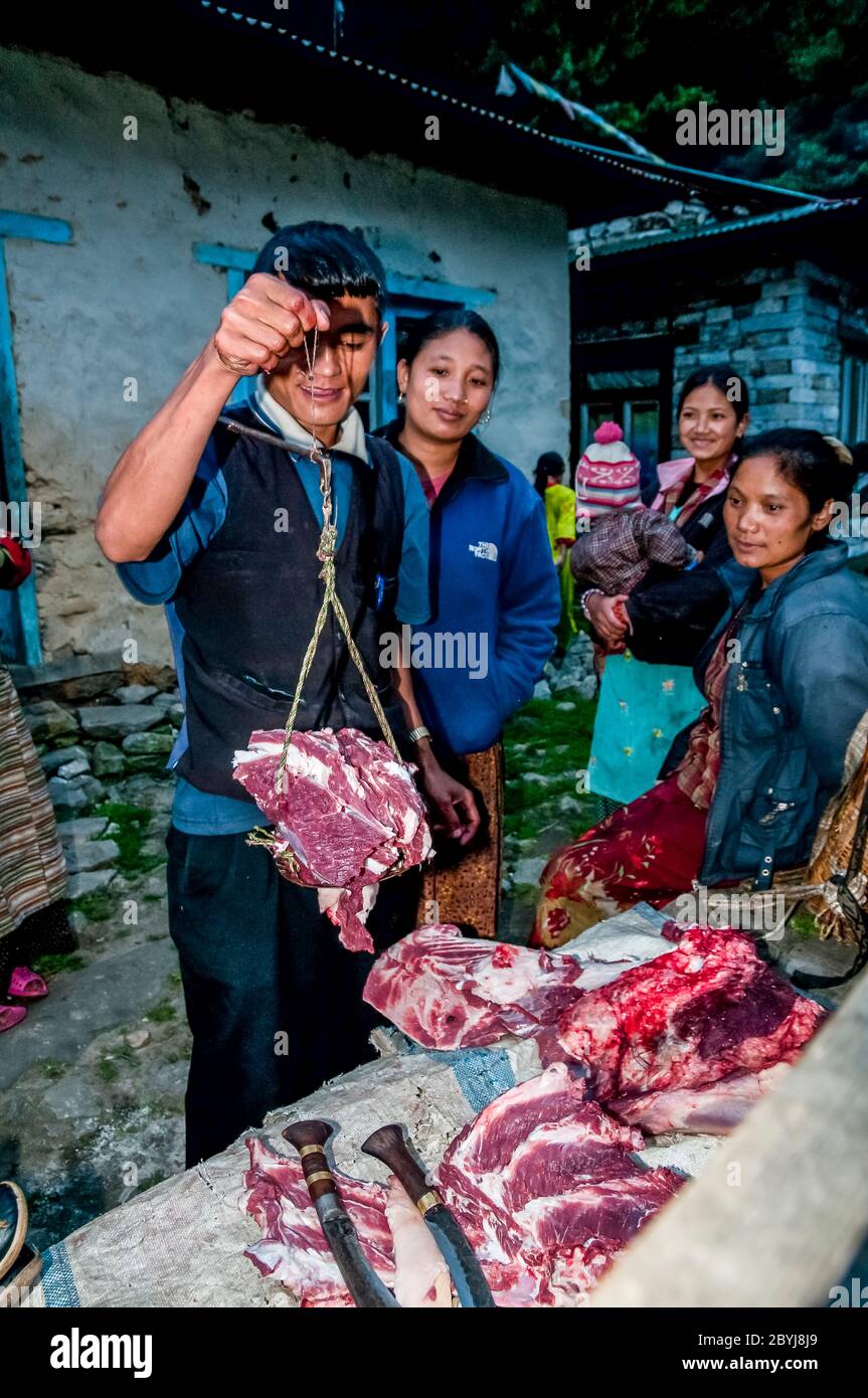 Nepal. Trekking di picco dell'isola. Un macellaio in visita dimostra le sue capacità di aspettare i clienti di Sherpa signora. La carne è un vero piacere per le famiglie in quella che è una dieta vegetariana di base. Il macellaio ha portato due lontre intere zampe di una mucca di Jak lungo il fegato animale dalla città di Lukla diverse ore a piedi di distanza visitando tutte le piccole comunità fino a quando non c'è nulla di più della carne. Anche le ossa saranno usate per fare zuppa-brodo poi successivamente messo in polvere per fornire fertilizzante Foto Stock
