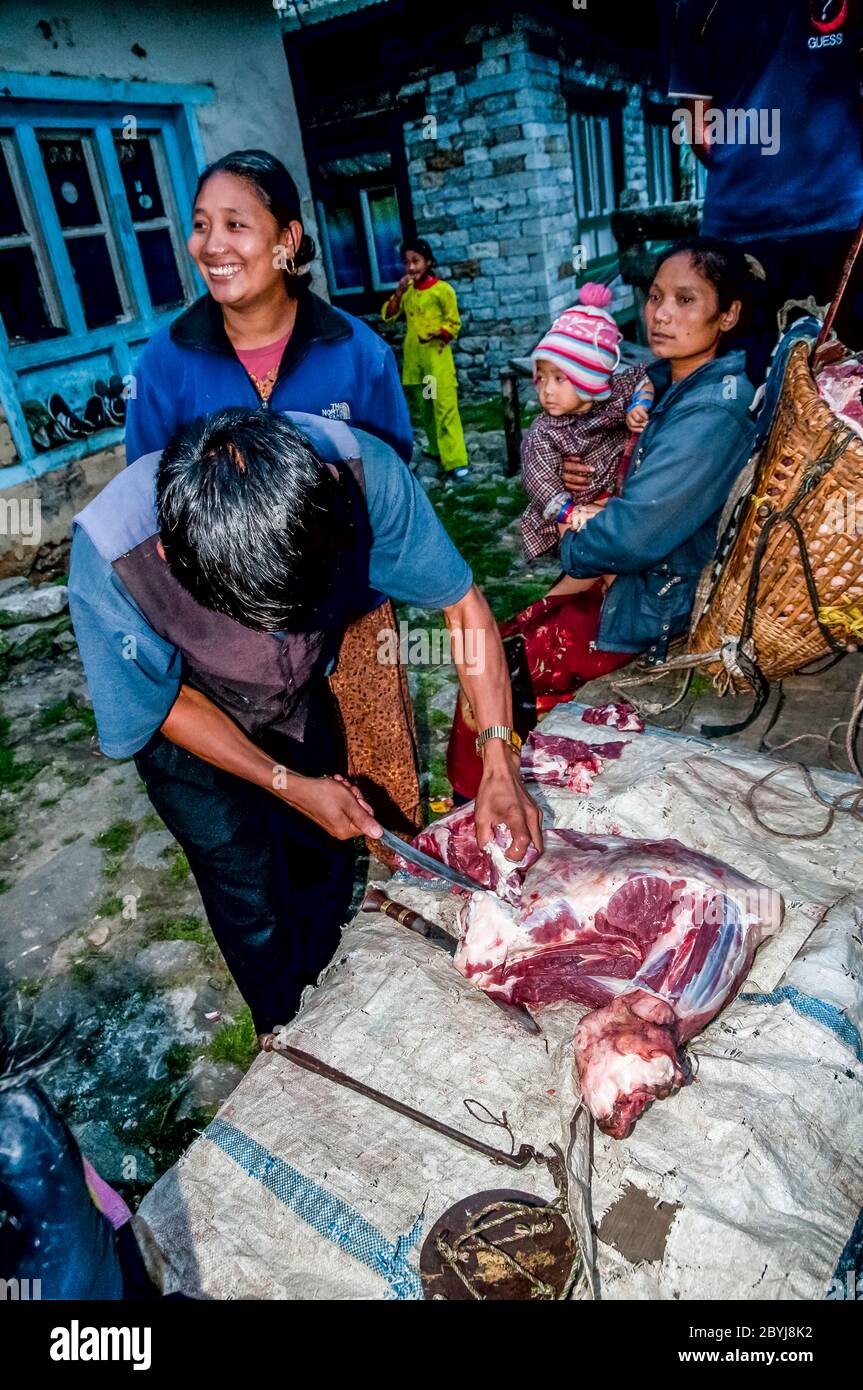 Nepal. Trekking di picco dell'isola. Un macellaio in visita dimostra le sue capacità di aspettare i clienti di Sherpa signora. La carne è un vero piacere per le famiglie in quella che è una dieta vegetariana di base. Il macellaio ha portato due lontre intere zampe di una mucca di Jak lungo il fegato animale dalla città di Lukla diverse ore a piedi di distanza visitando tutte le piccole comunità fino a quando non c'è nulla di più della carne. Anche le ossa saranno usate per fare zuppa-brodo poi successivamente messo in polvere per fornire fertilizzante Foto Stock