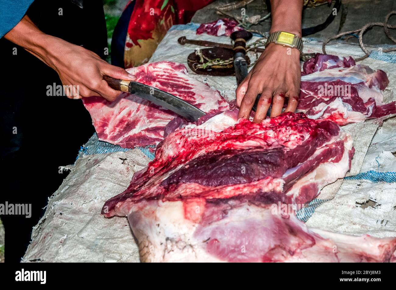 Nepal. Trekking di picco dell'isola. Un macellaio in visita dimostra le sue capacità di aspettare i clienti di Sherpa signora. La carne è un vero piacere per le famiglie in quella che è una dieta vegetariana di base. Il macellaio ha portato due lontre intere zampe di una mucca di Jak lungo il fegato animale dalla città di Lukla diverse ore a piedi di distanza visitando tutte le piccole comunità fino a quando non c'è nulla di più della carne. Anche le ossa saranno usate per fare zuppa-brodo poi successivamente messo in polvere per fornire fertilizzante Foto Stock