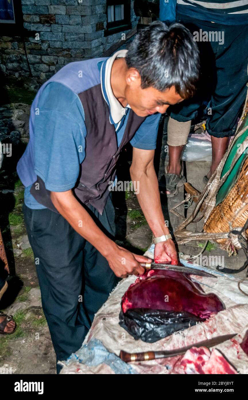 Nepal. Trekking di picco dell'isola. Un macellaio in visita dimostra le sue capacità di aspettare i clienti di Sherpa signora. La carne è un vero piacere per le famiglie in quella che è una dieta vegetariana di base. Il macellaio ha portato due lontre intere di una mucca di Jak lungo il fegato degli animali [visto qui] dalla città di Lukla diverse ore a piedi di distanza visitando tutte le piccole comunità fino a che non c'è nulla di più della carne. Anche le ossa saranno usate per fare zuppa-brodo poi successivamente messo in polvere per fornire fertilizzante Foto Stock