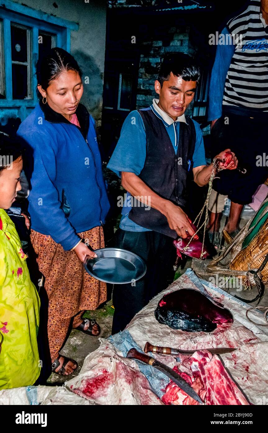 Nepal. Trekking di picco dell'isola. Un macellaio in visita dimostra le sue capacità di aspettare i clienti di Sherpa signora. La carne è un vero piacere per le famiglie in quella che è una dieta vegetariana di base. Il macellaio ha portato due lontre intere di una mucca di Jak lungo il fegato degli animali [visto qui] dalla città di Lukla diverse ore a piedi di distanza visitando tutte le piccole comunità fino a che non c'è nulla di più della carne. Anche le ossa saranno usate per fare zuppa-brodo poi successivamente messo in polvere per fornire fertilizzante Foto Stock