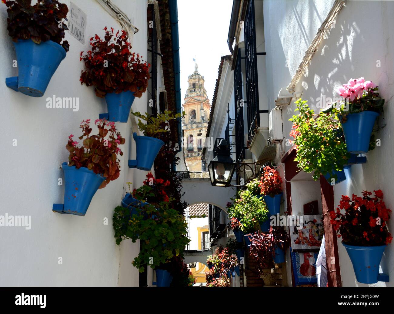 Cordova è una bellissima città dell'Andalusia in Spagna. E' famosa per la Mezquita e per il suo patio con vasi di fiori di geranio su pareti bianche. Foto Stock
