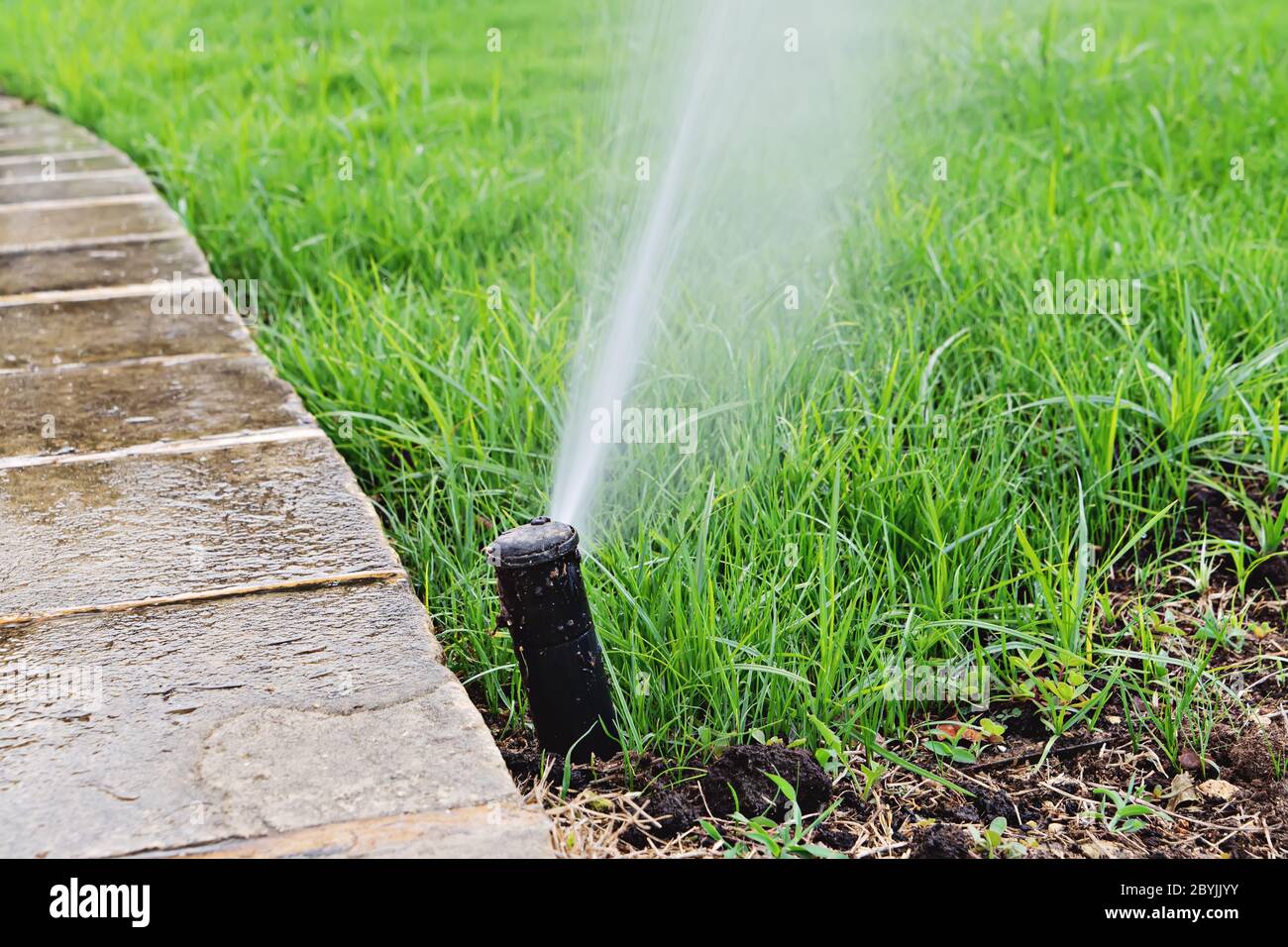 Un getto d'acqua dal tubo di irrigatore automatico del prato che  innaffiatura l'erba verde. Irrigatore con impianto automatico. Irrigazione  giardino irrigazione sistema l Foto stock - Alamy