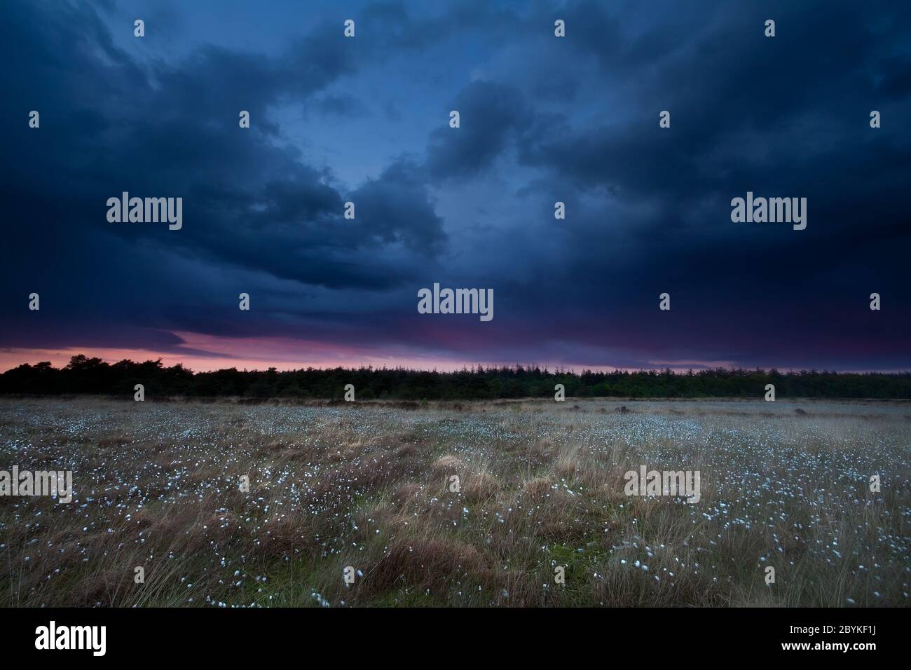 drammatica tempesta cielo su palude al tramonto Foto Stock