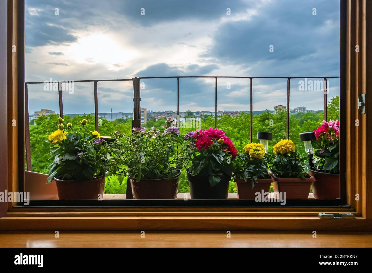 Vasi di fiori colorati fuori dalla finestra sul balcone con sfondo cielo nuvoloso. Fiori estivi sul davanzale. Piante in crescita in città Foto Stock