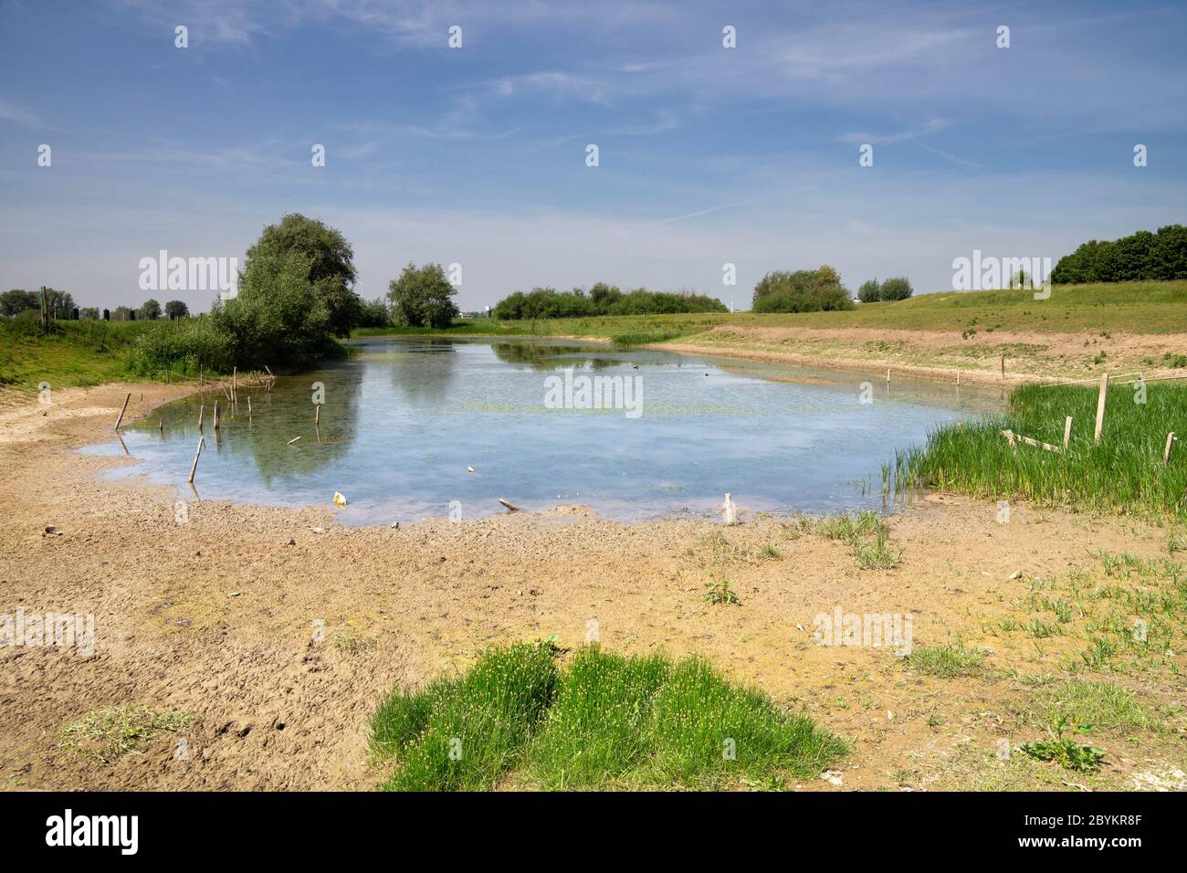 Stagno lungo il fiume Waal Foto Stock