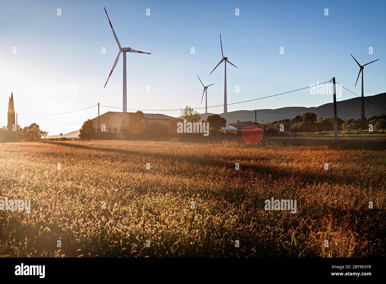 Quattro turbine eoliche al tramonto in un campo e vicino a una fattoria Foto Stock