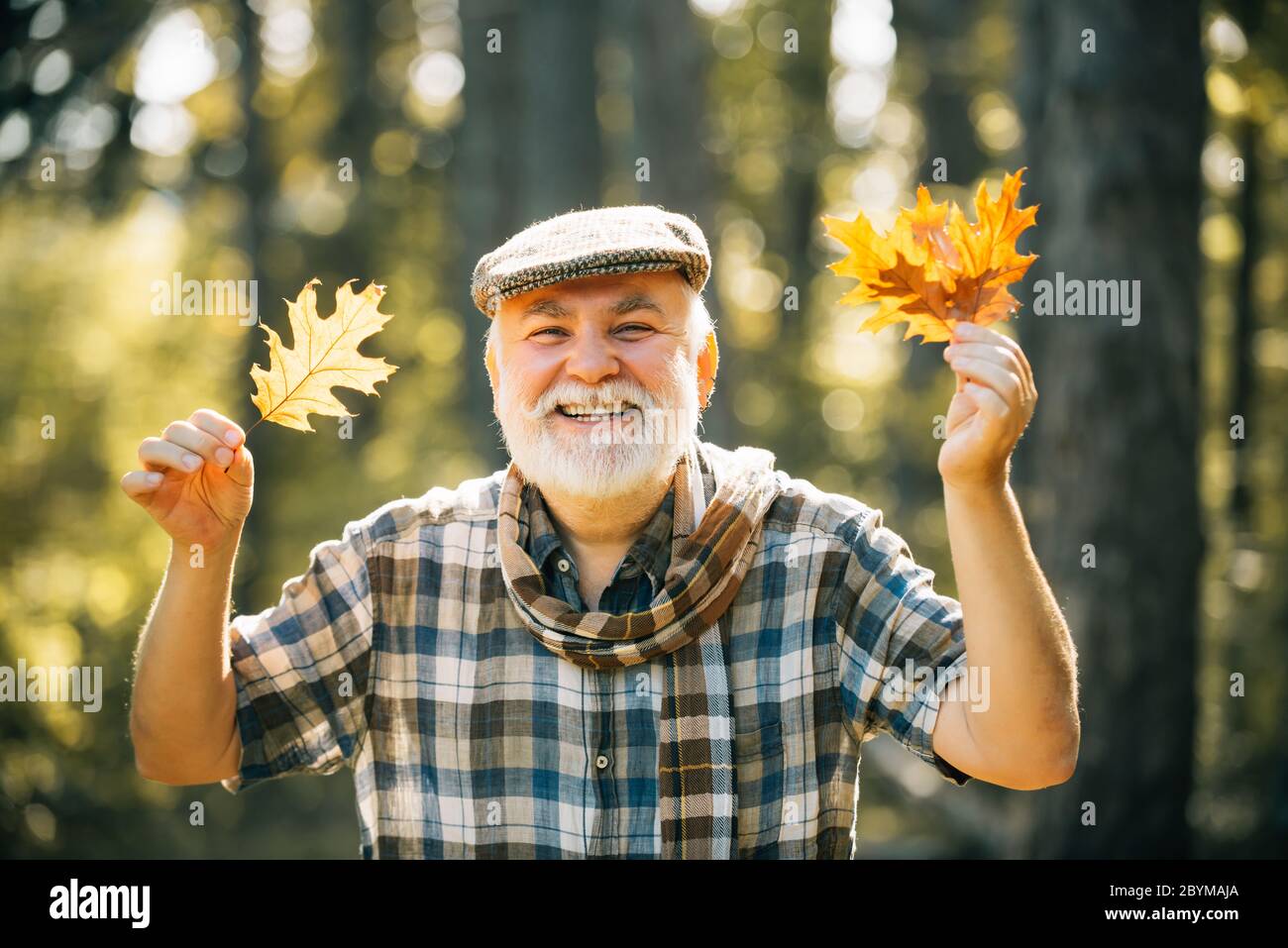 Felice uomo anziano. Nonno rilassante nel parco autunnale. Uomo anziano che passeggiando in un parco in autunno. Foglia di acero sul sentiero escursionistico nel parco Foto Stock